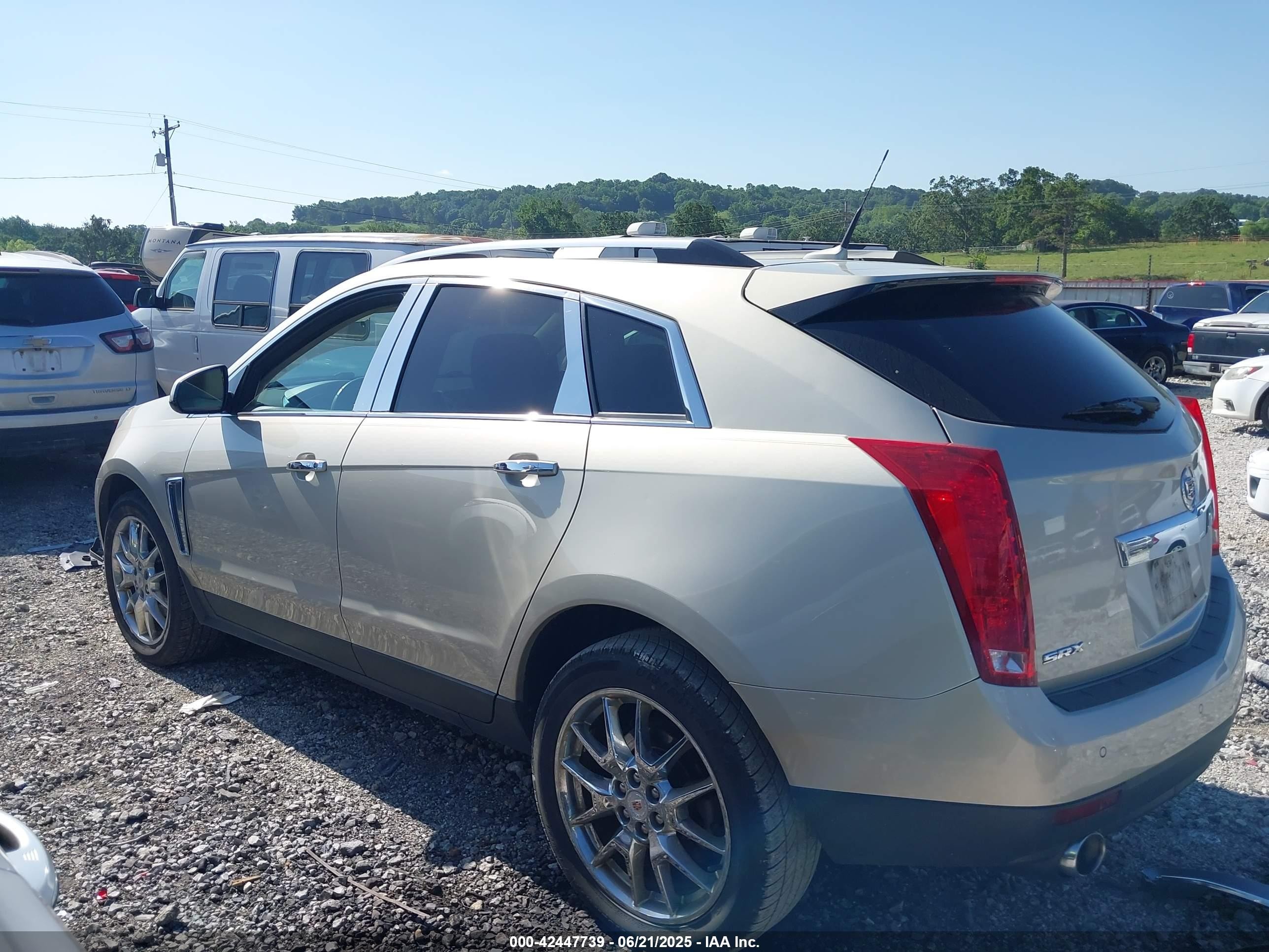 2013 Cadillac Srx Premium Collection Gold vin: 3GYFNEE33DS532234