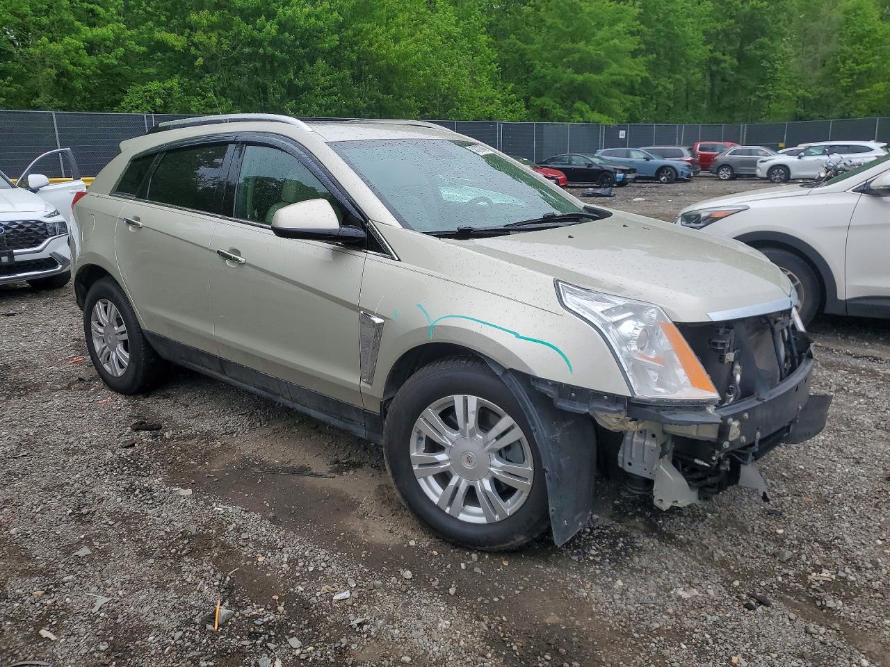 2014 Cadillac Srx Luxury Collection Бежевый vin: 3GYFNEE33ES680756