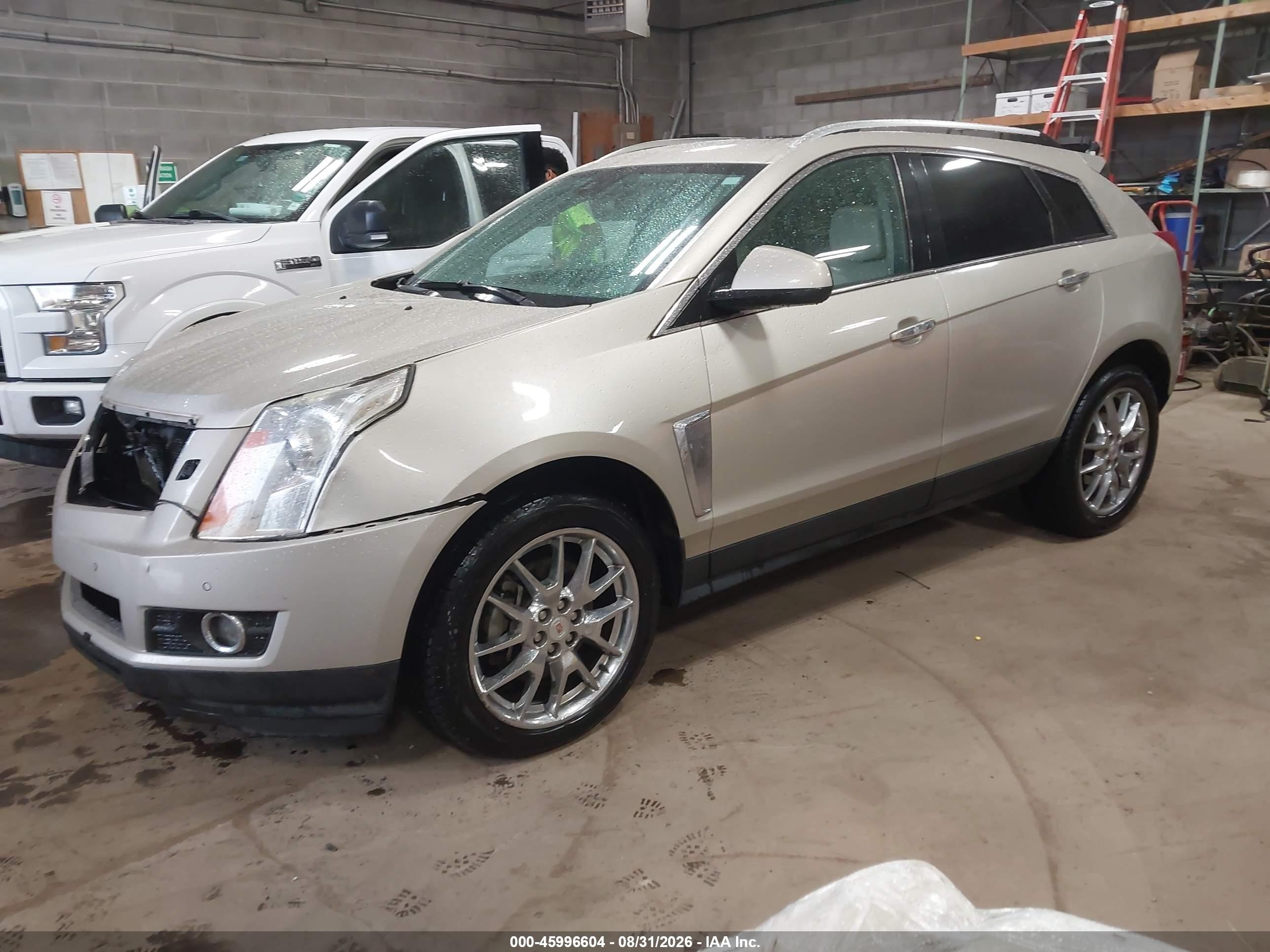 2013 Cadillac Srx Premium Collection Желто-коричневый vin: 3GYFNEE34DS540469