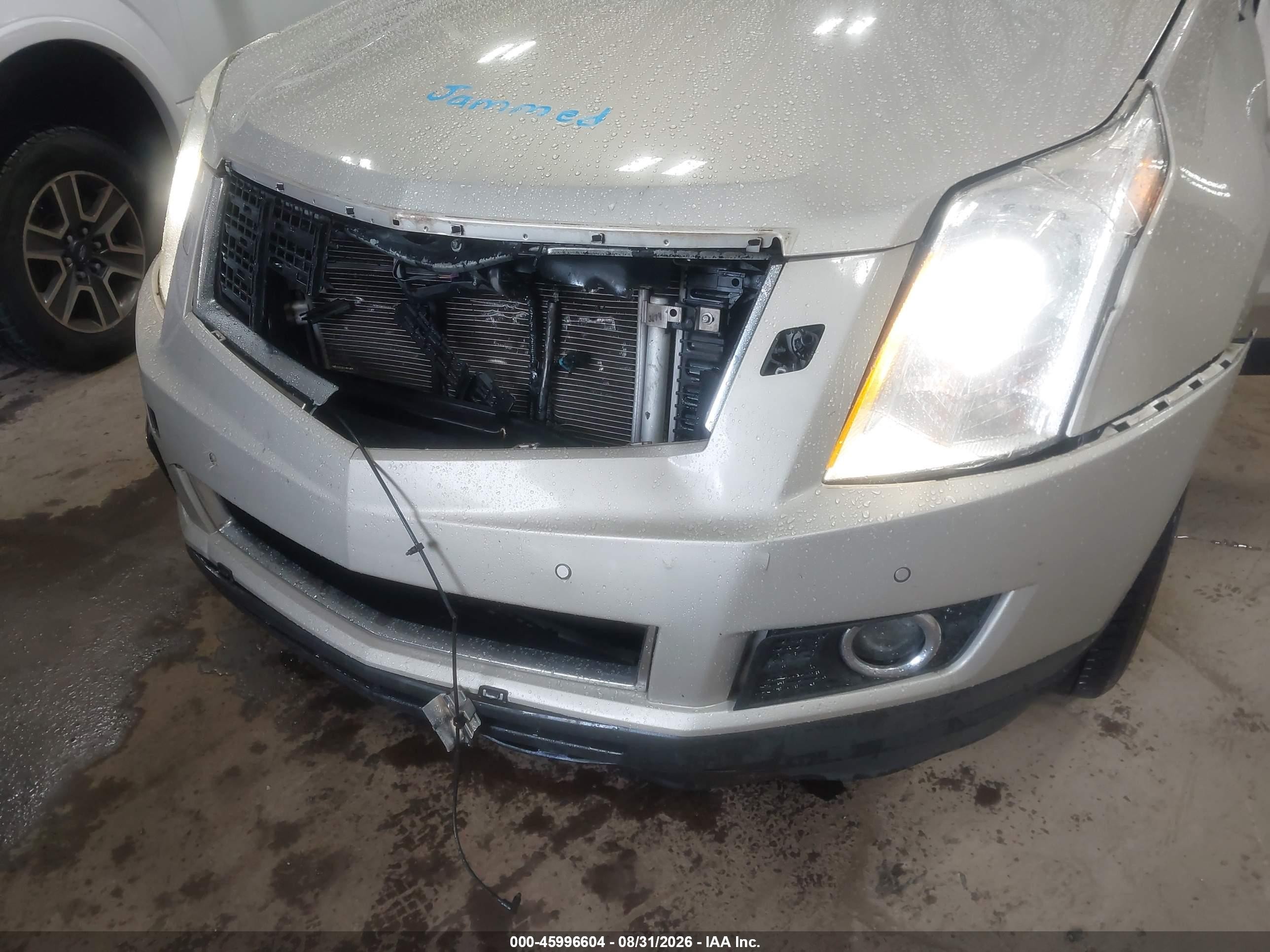2013 Cadillac Srx Premium Collection Желто-коричневый vin: 3GYFNEE34DS540469