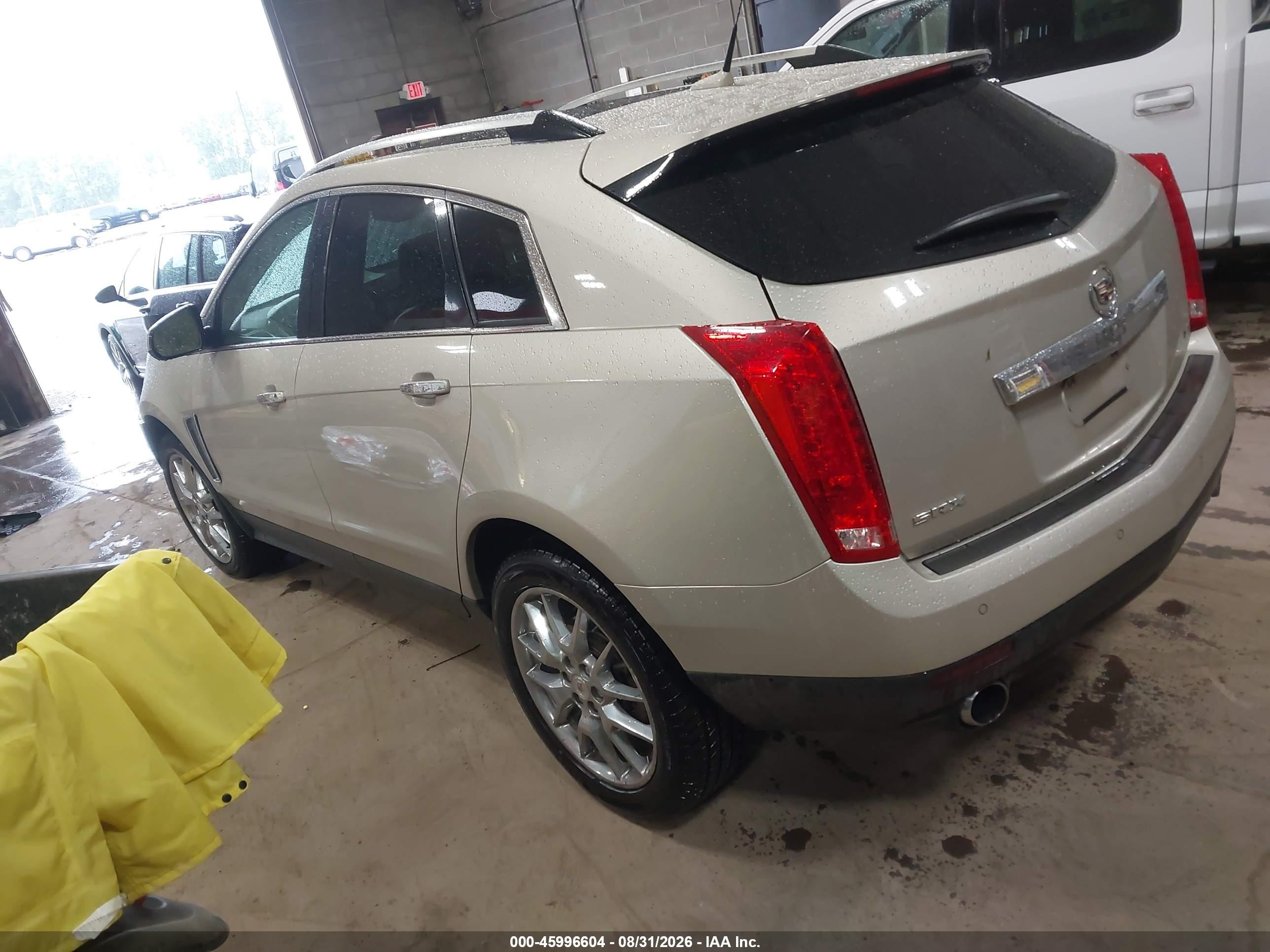 2013 Cadillac Srx Premium Collection Желто-коричневый vin: 3GYFNEE34DS540469