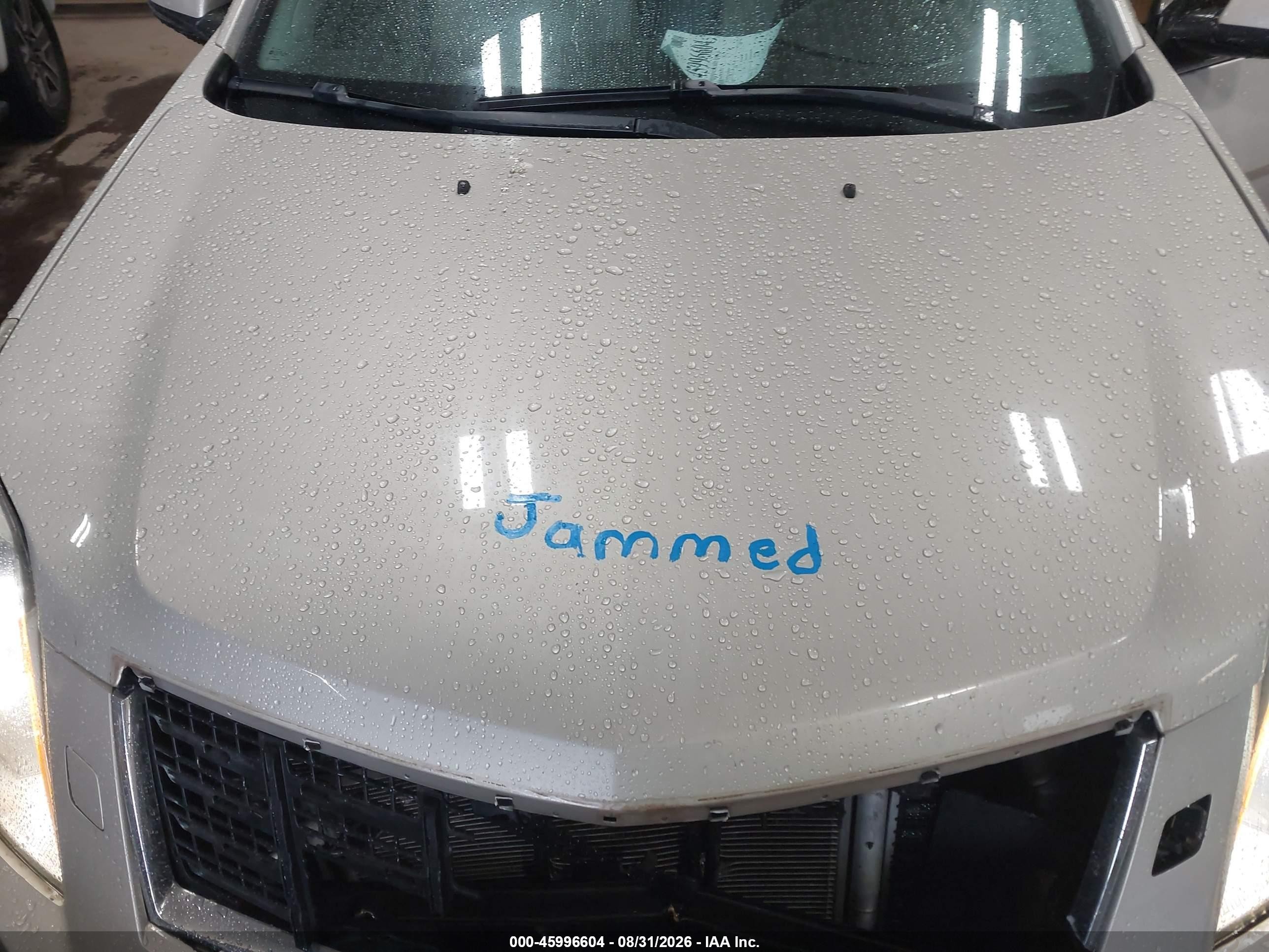2013 Cadillac Srx Premium Collection Желто-коричневый vin: 3GYFNEE34DS540469