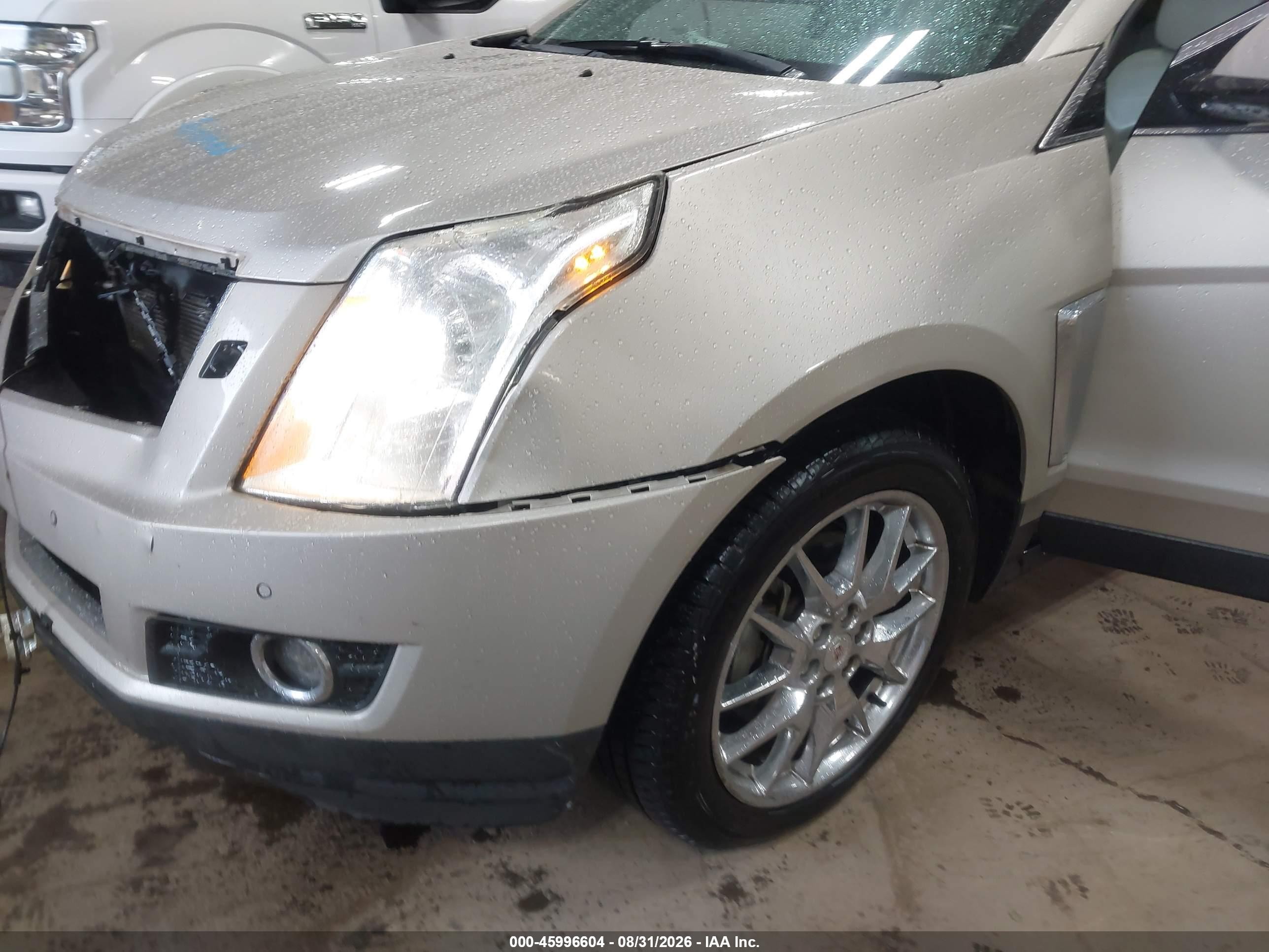 2013 Cadillac Srx Premium Collection Желто-коричневый vin: 3GYFNEE34DS540469