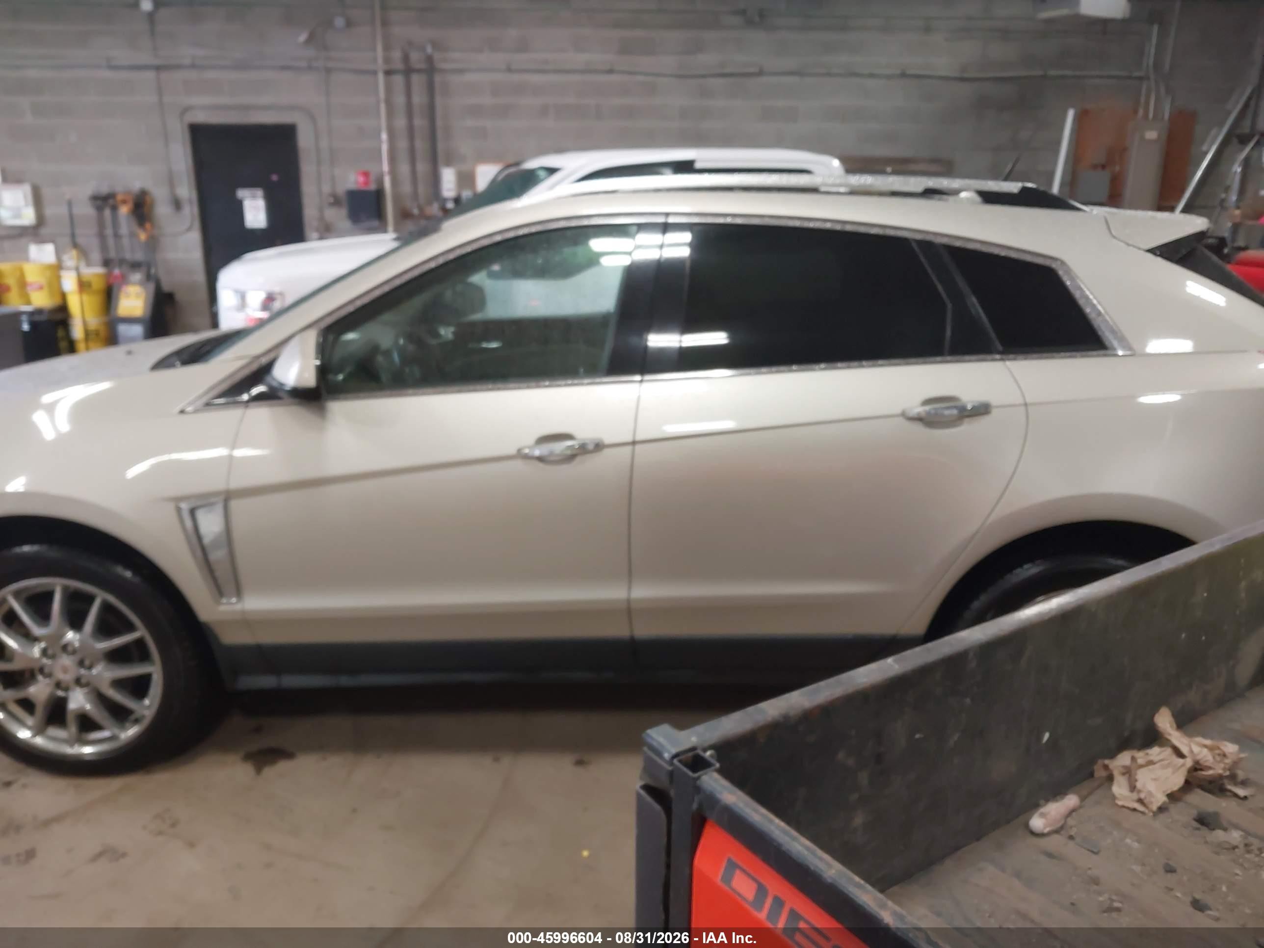 2013 Cadillac Srx Premium Collection Желто-коричневый vin: 3GYFNEE34DS540469