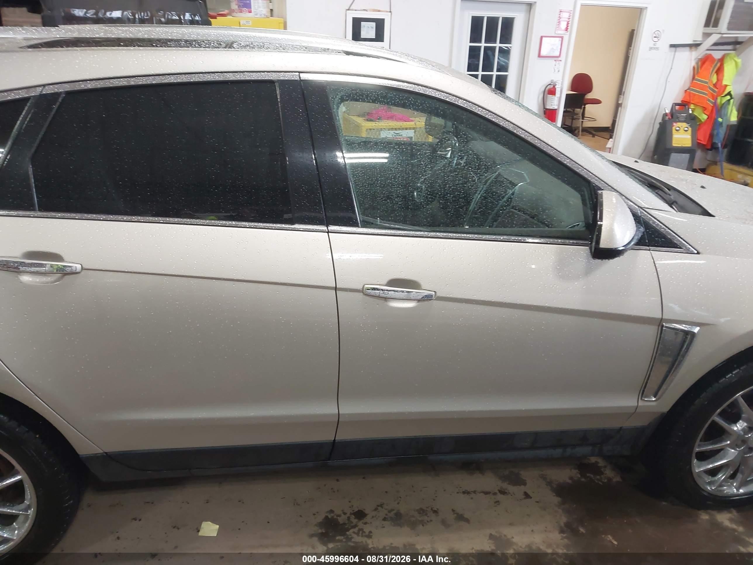 2013 Cadillac Srx Premium Collection Желто-коричневый vin: 3GYFNEE34DS540469