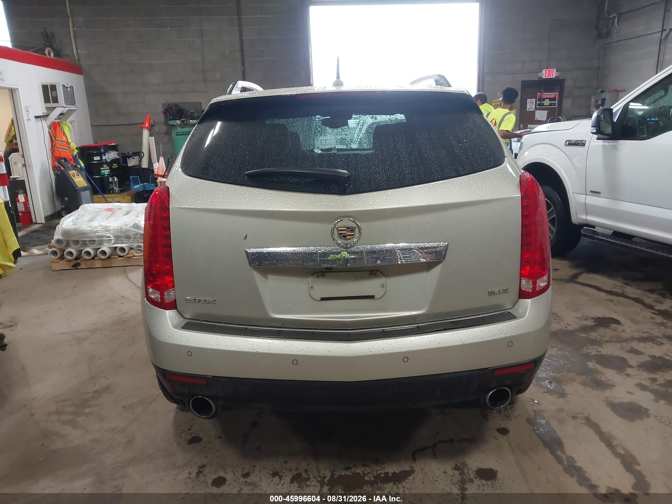2013 Cadillac Srx Premium Collection Желто-коричневый vin: 3GYFNEE34DS540469