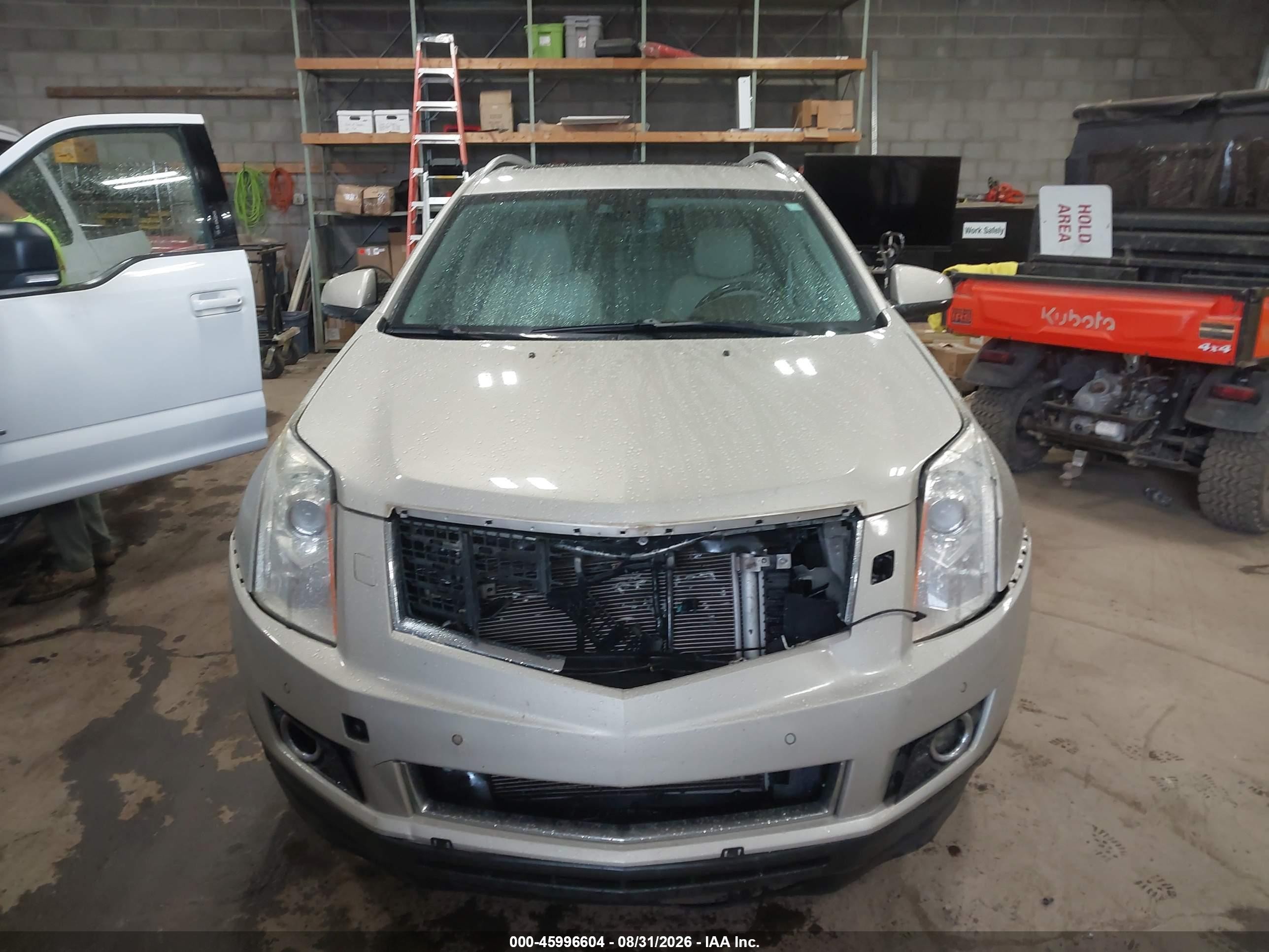 2013 Cadillac Srx Premium Collection Желто-коричневый vin: 3GYFNEE34DS540469