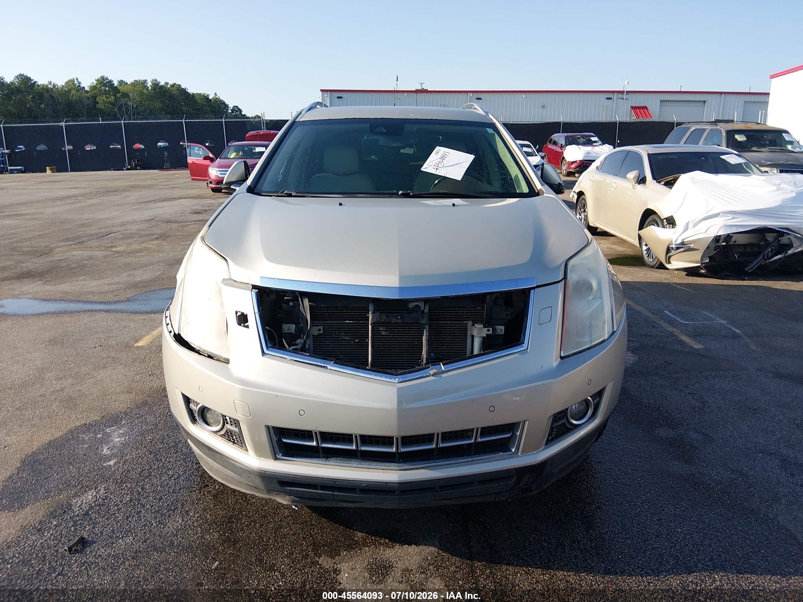 2013 Cadillac Srx Premium Collection Beige vin: 3GYFNEE34DS637865