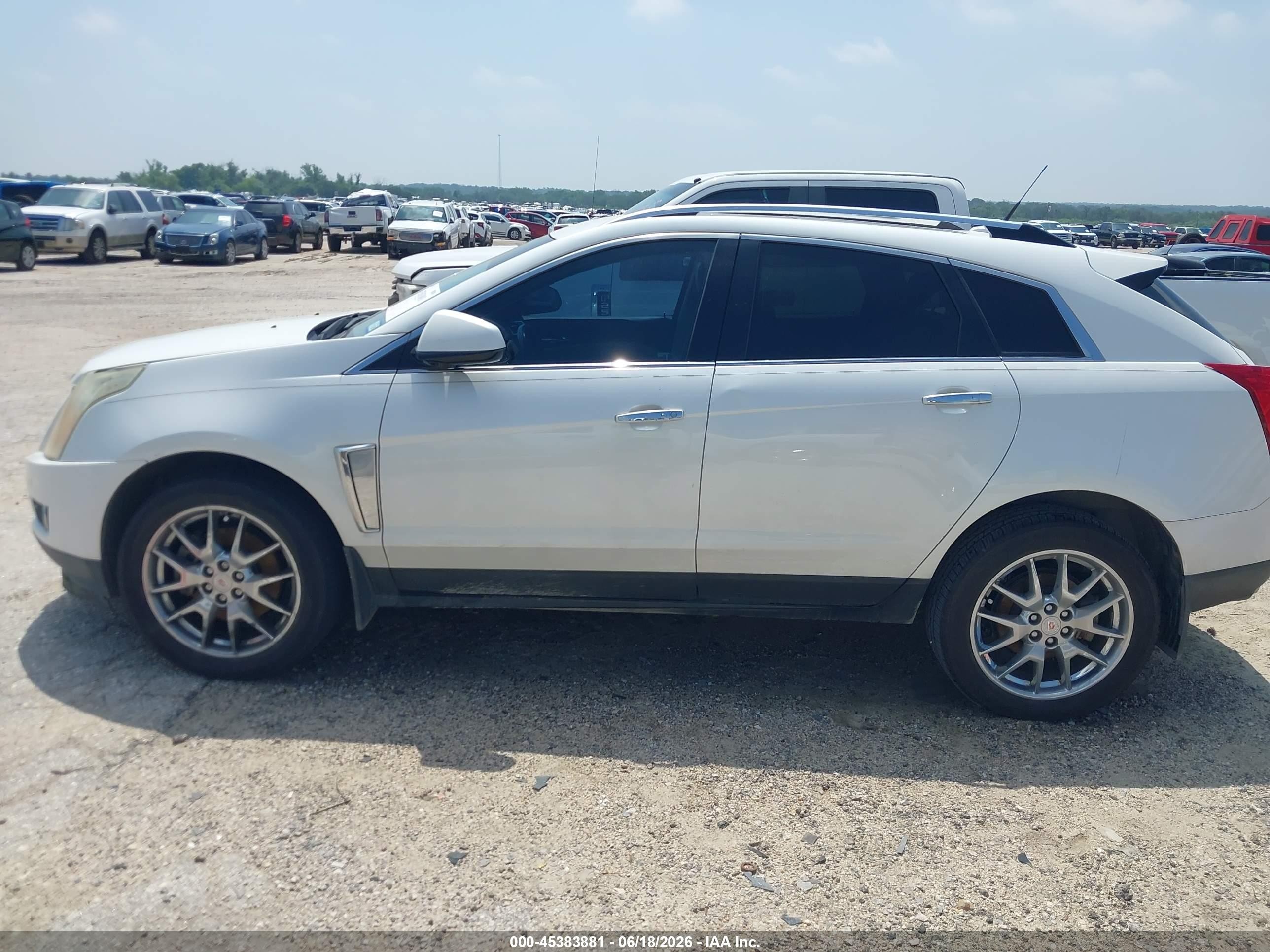 2013 Cadillac Srx Premium Collection White vin: 3GYFNEE34DS650521