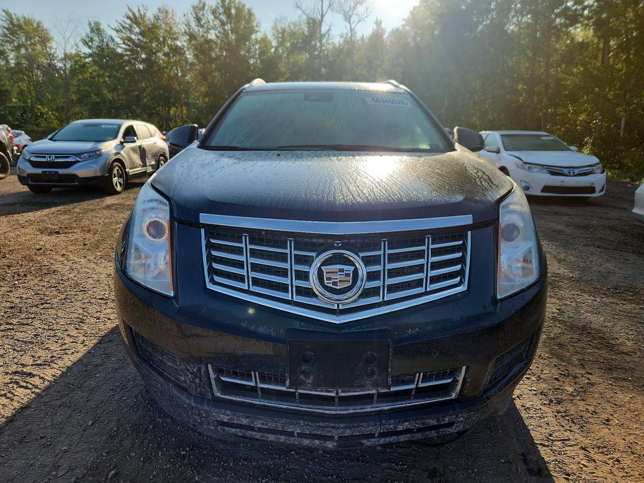 2014 Cadillac Srx Luxury Collection Black vin: 3GYFNEE34ES634269