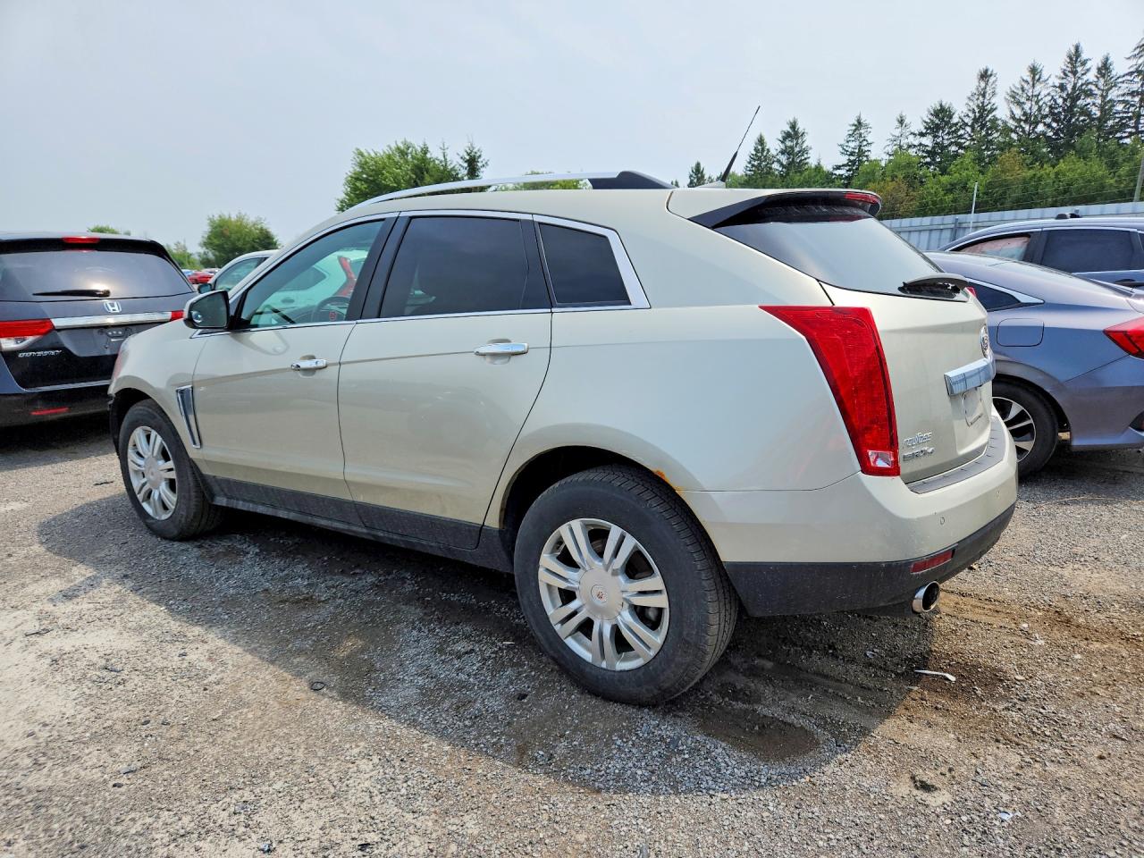 2014 Cadillac Srx Luxury Collection Cream vin: 3GYFNEE35ES584692