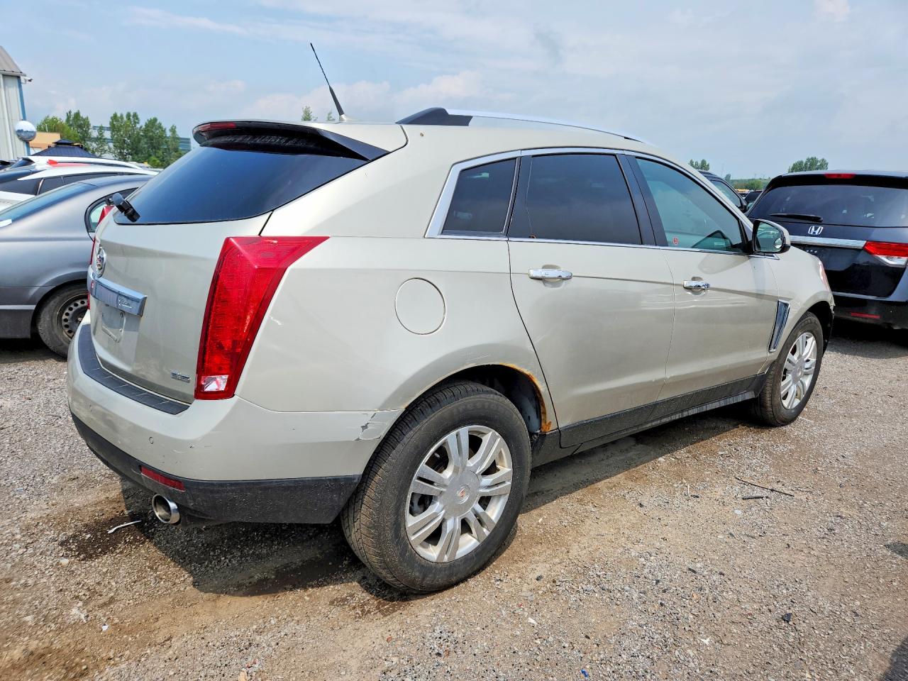 2014 Cadillac Srx Luxury Collection Cream vin: 3GYFNEE35ES584692