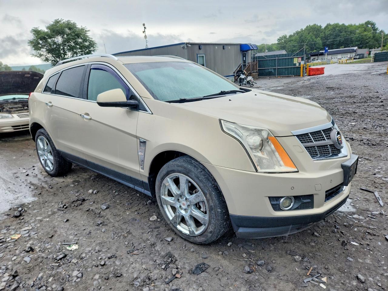 2012 Cadillac Srx Performance Collection Gold vin: 3GYFNEE36CS503860