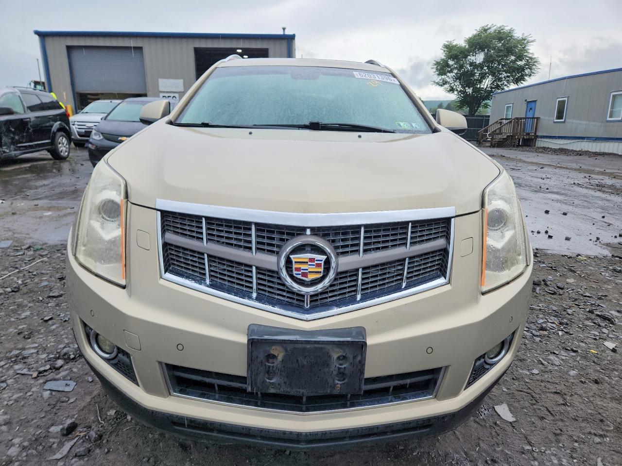 2012 Cadillac Srx Performance Collection Gold vin: 3GYFNEE36CS503860