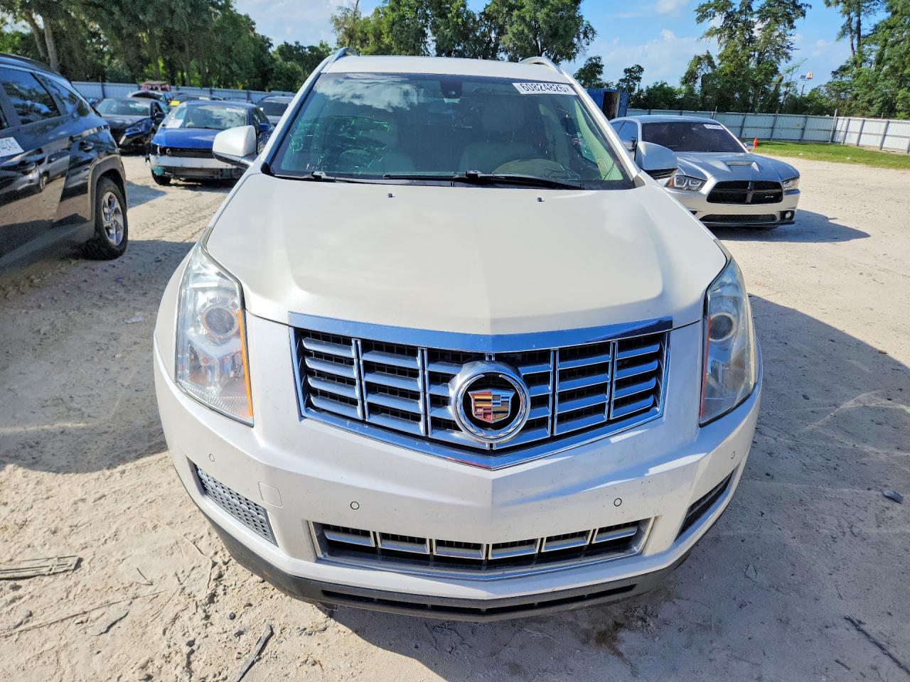 2015 Cadillac Srx Luxury Collection Белый vin: 3GYFNEE37FS573422