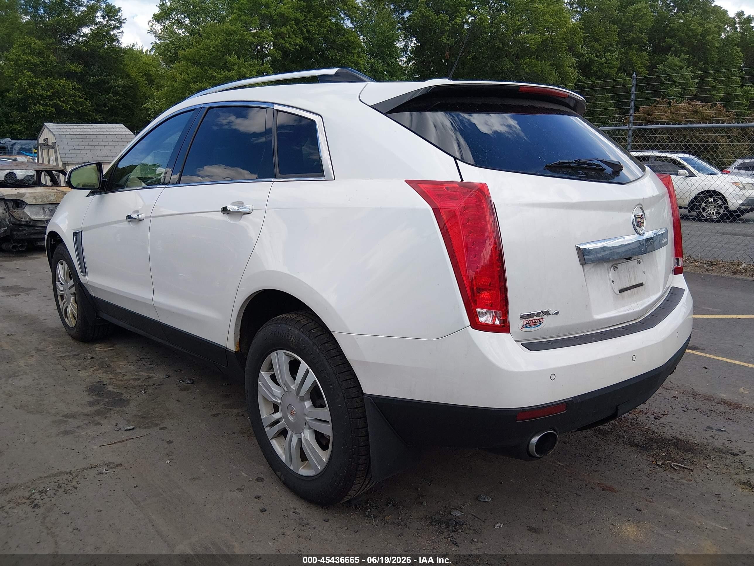 2015 Cadillac Srx Luxury Collection White vin: 3GYFNEE39FS556377