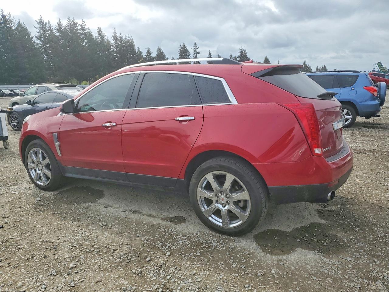 2012 Cadillac Srx Premium Collection Red vin: 3GYFNFE31CS524976