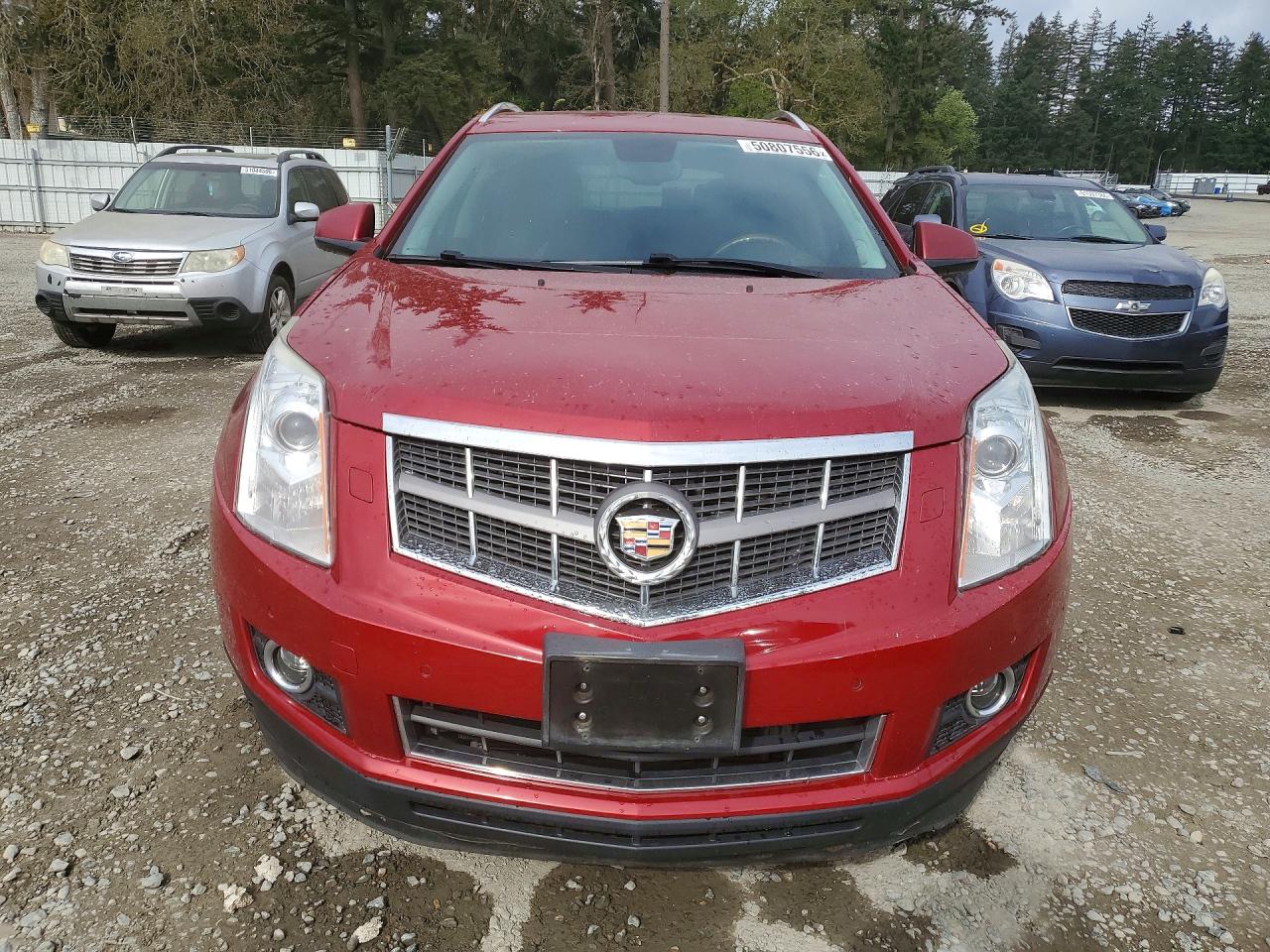 2012 Cadillac Srx Premium Collection Red vin: 3GYFNFE31CS524976