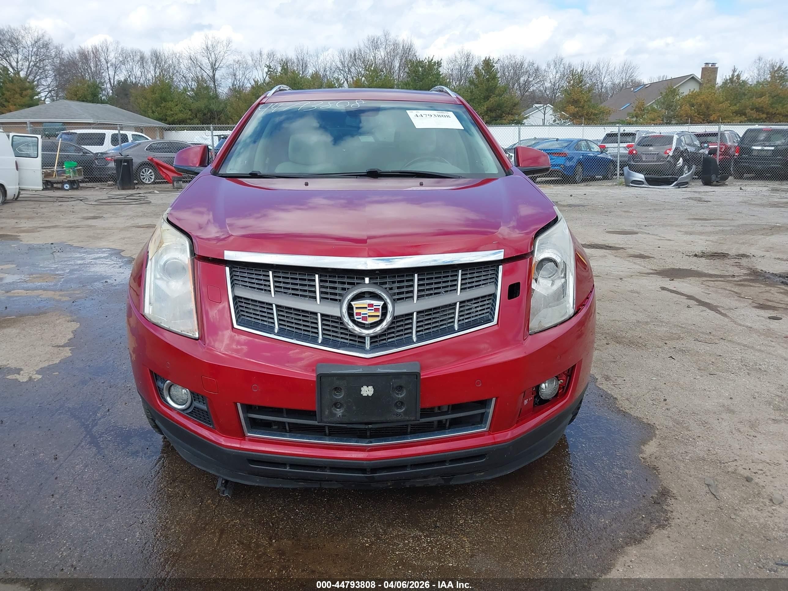 2012 Cadillac Srx Premium Collection Red vin: 3GYFNFE36CS530319