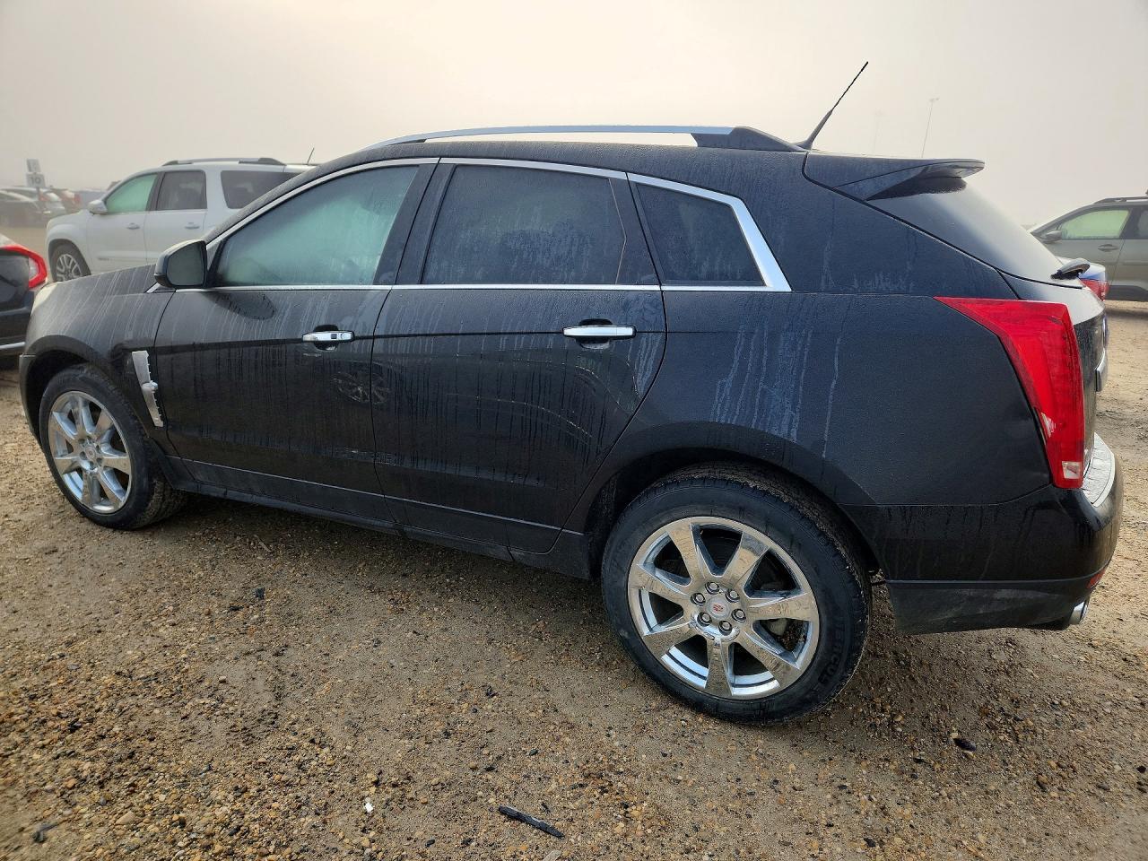 2010 Cadillac Srx Premium Collection Black vin: 3GYFNFEY2AS619281