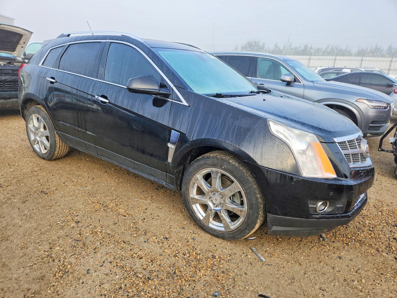 2010 Cadillac Srx Premium Collection Black vin: 3GYFNFEY2AS619281