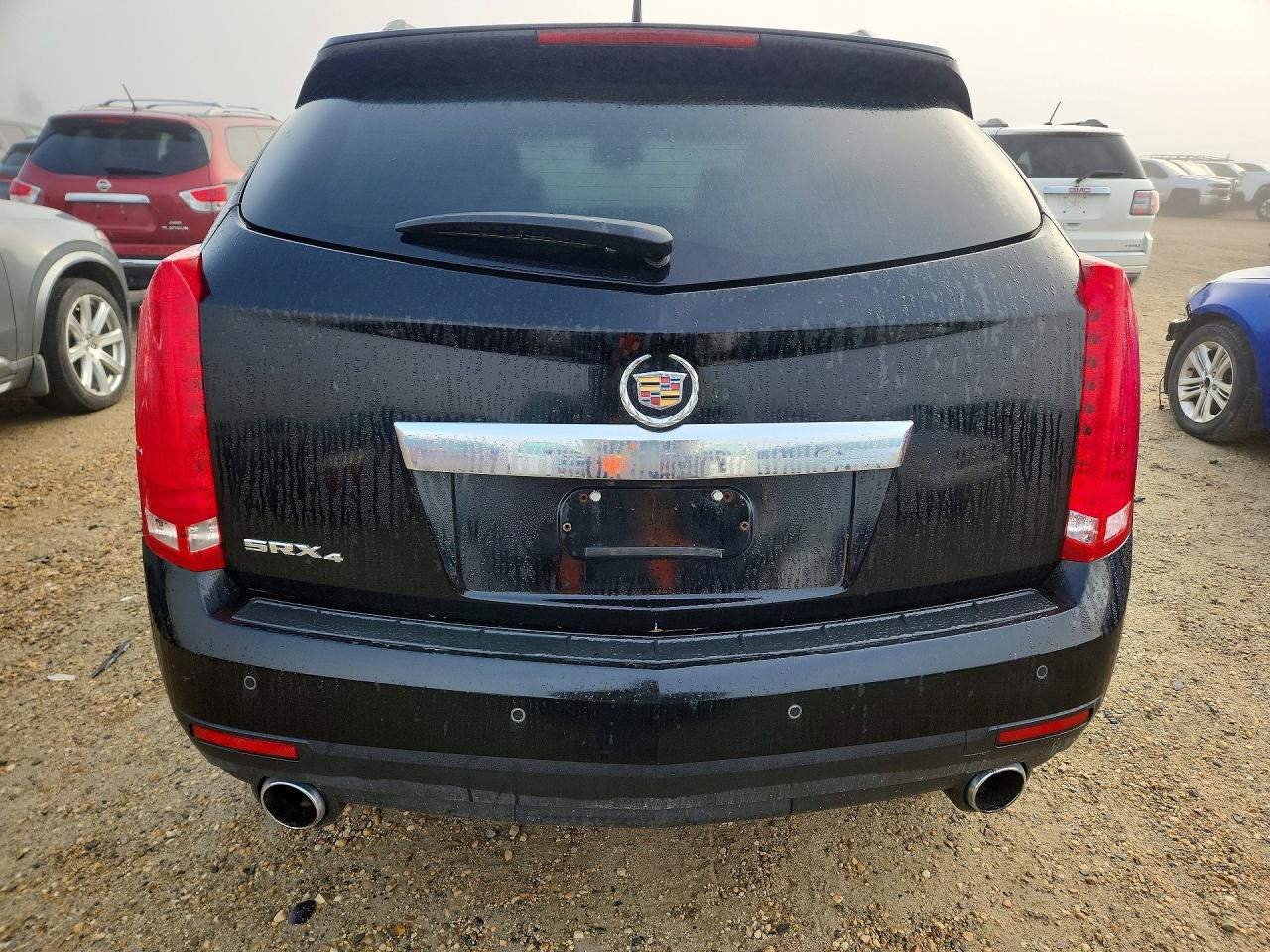2010 Cadillac Srx Premium Collection Black vin: 3GYFNFEY2AS619281