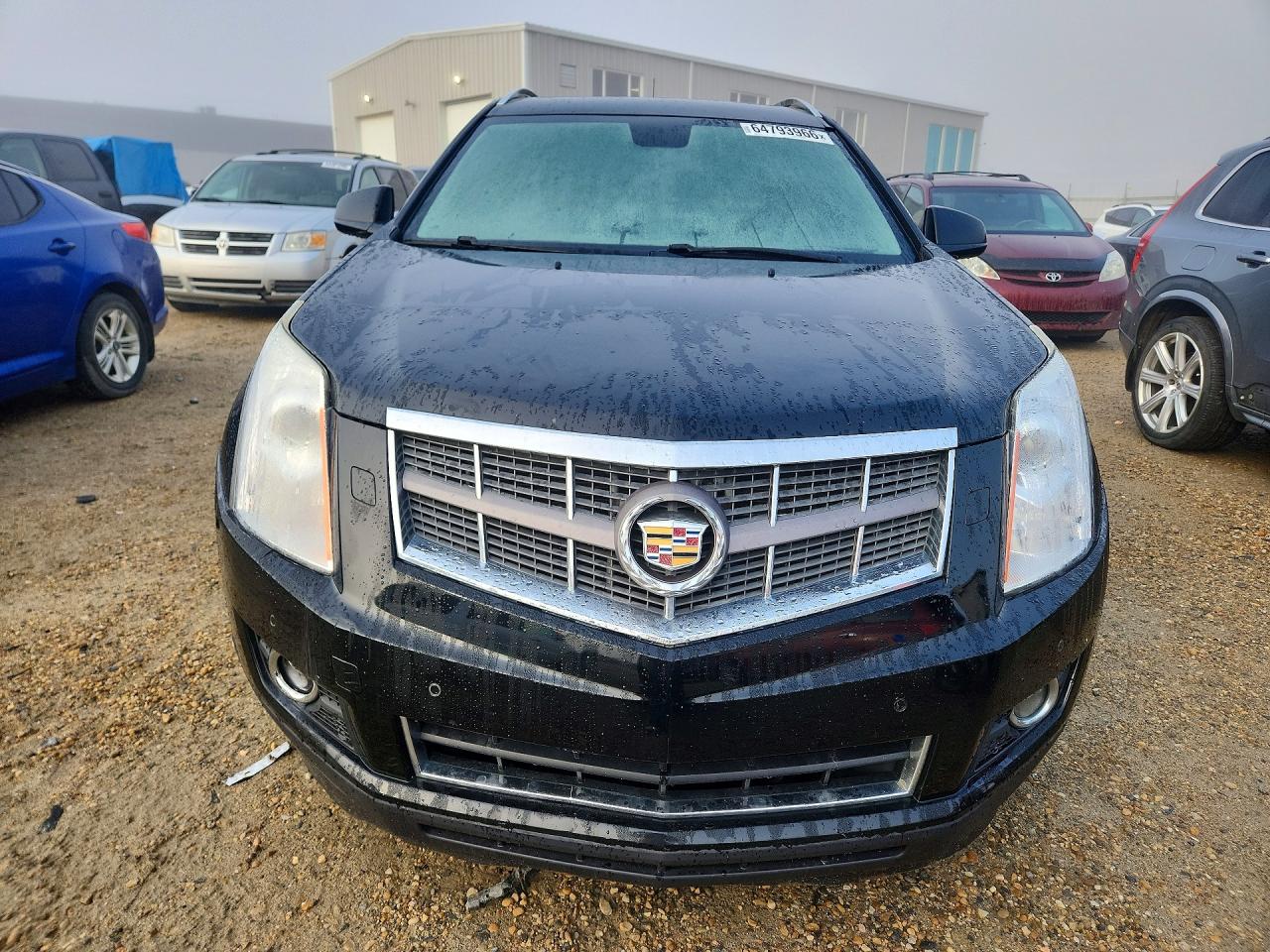 2010 Cadillac Srx Premium Collection Black vin: 3GYFNFEY2AS619281