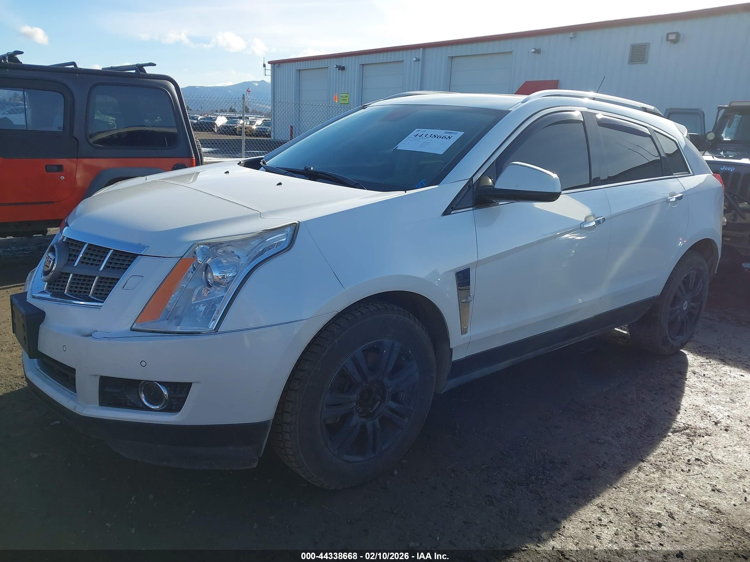 2011 Cadillac Srx Premium Collection White vin: 3GYFNFEY6BS505270
