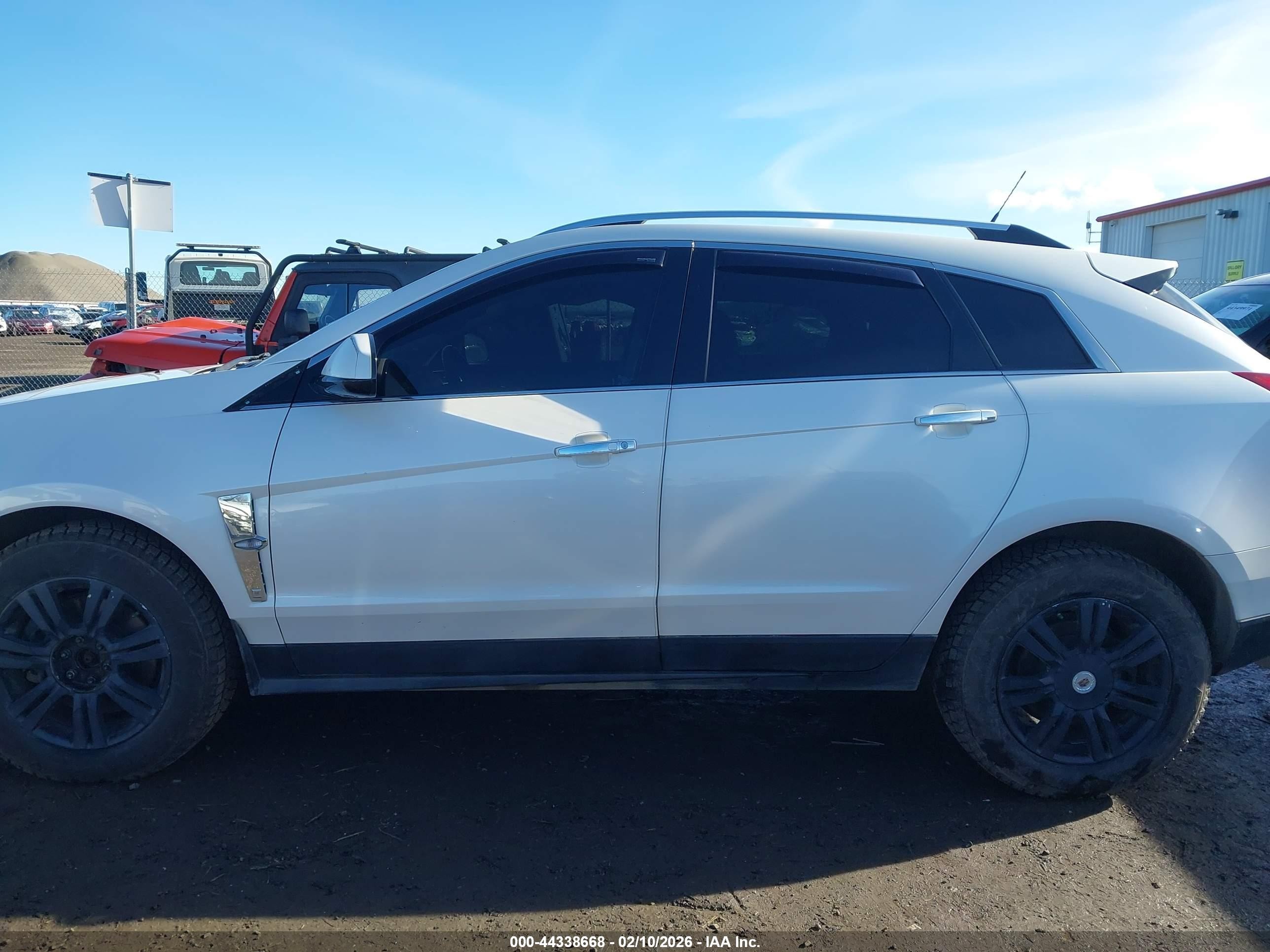 2011 Cadillac Srx Premium Collection White vin: 3GYFNFEY6BS505270