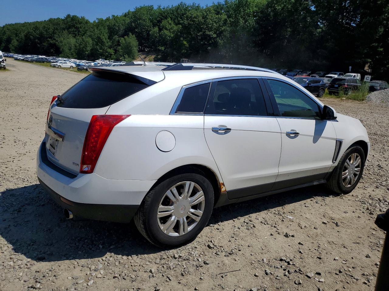 2013 Cadillac Srx Luxury Collection White vin: 3GYFNGE31DS646616