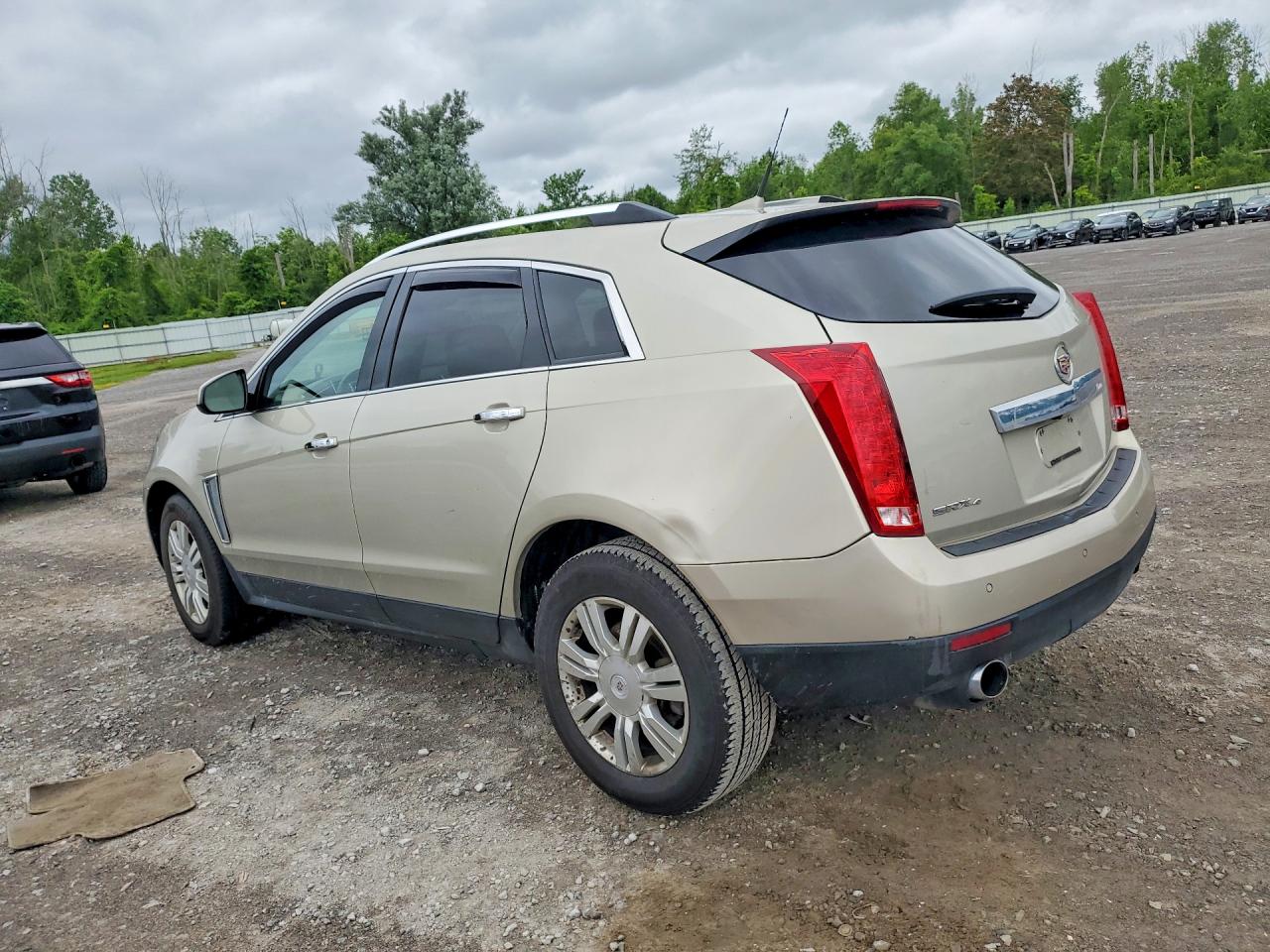 2013 Cadillac Srx Luxury Collection Beige vin: 3GYFNGE34DS535784