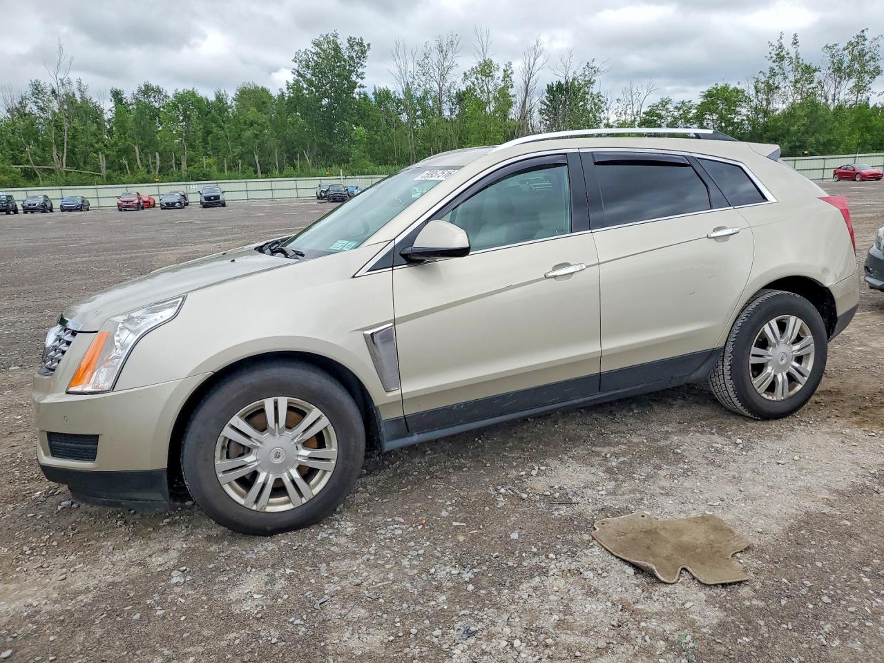 2013 Cadillac Srx Luxury Collection Beige vin: 3GYFNGE34DS535784