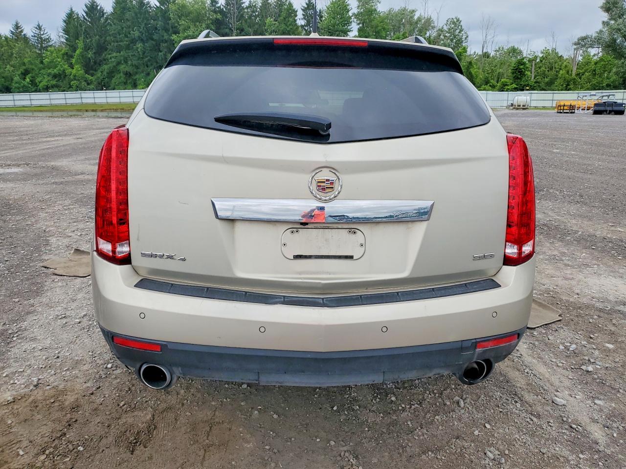 2013 Cadillac Srx Luxury Collection Beige vin: 3GYFNGE34DS535784