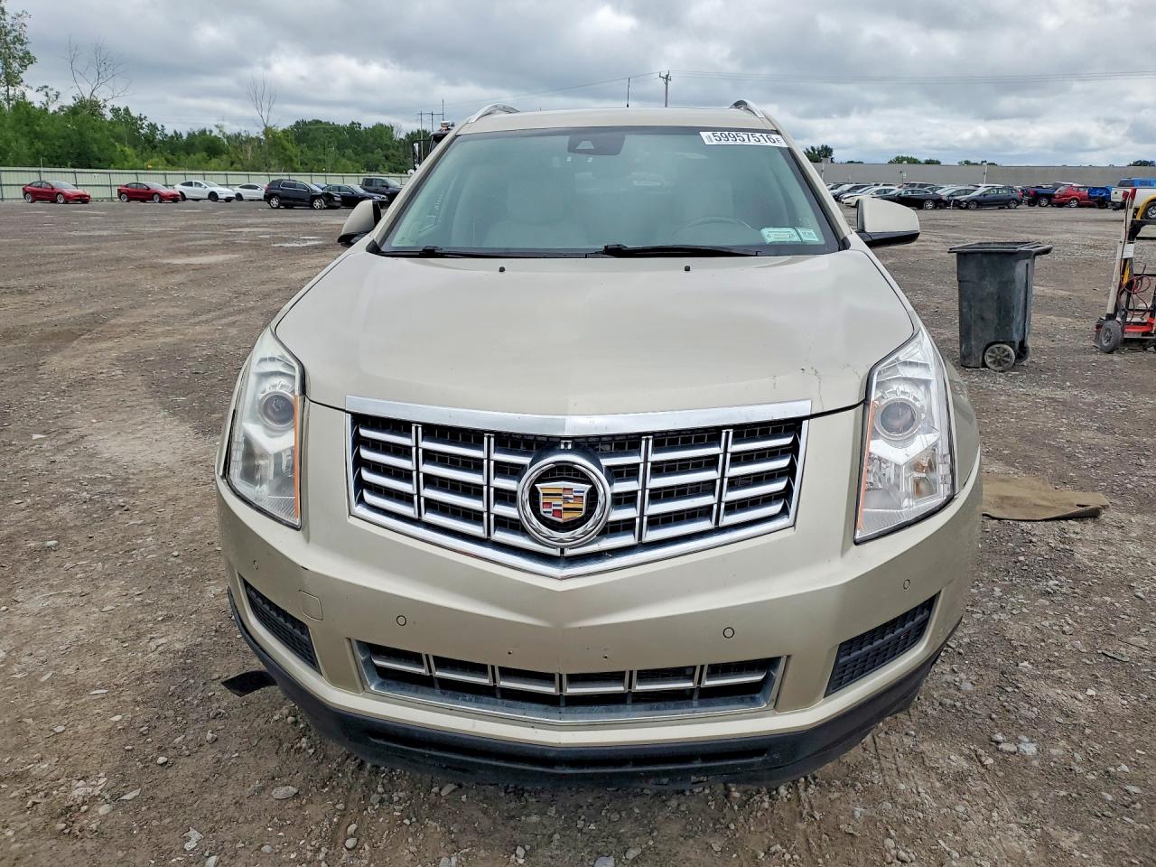 2013 Cadillac Srx Luxury Collection Beige vin: 3GYFNGE34DS535784