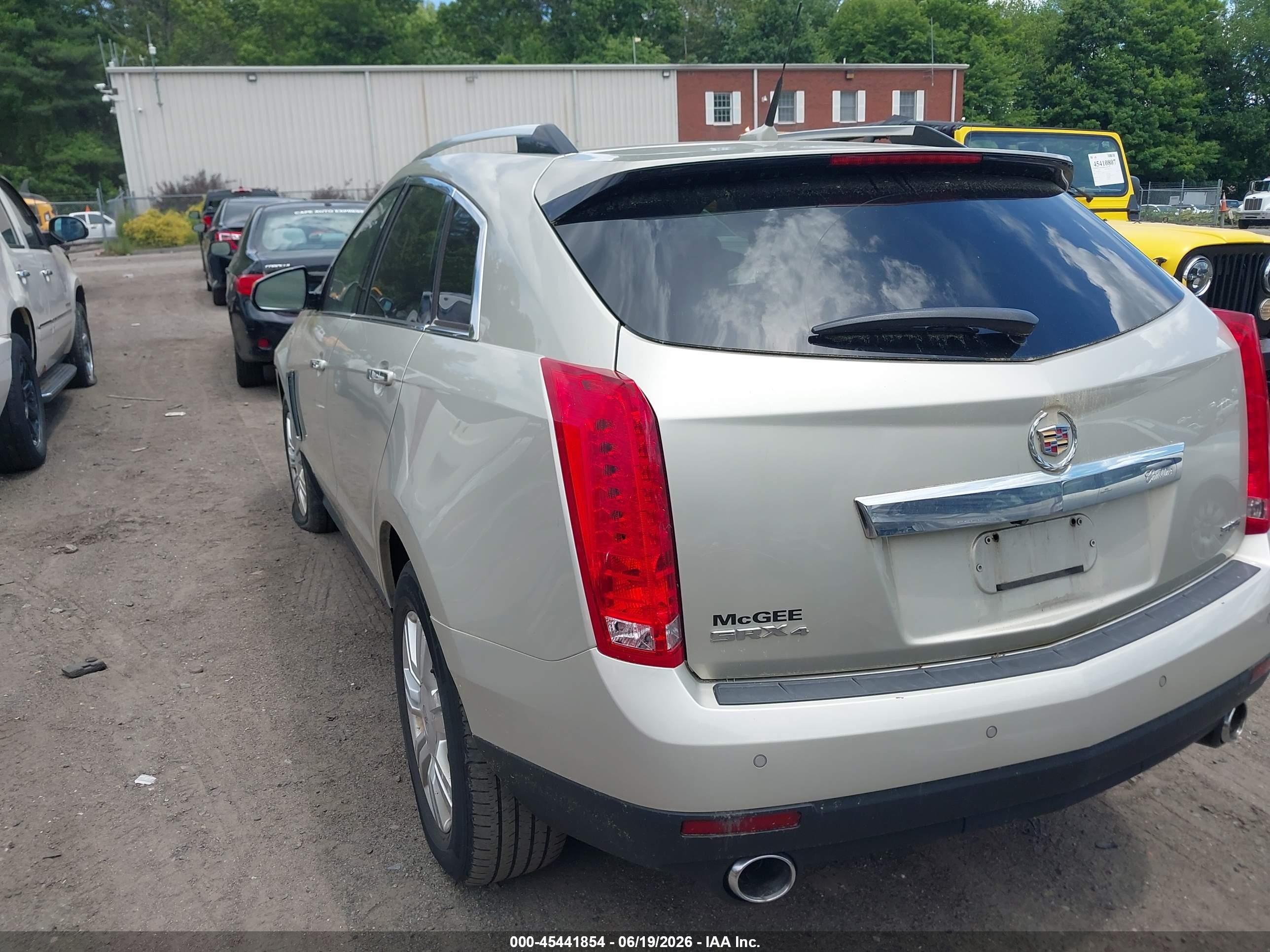 2013 Cadillac Srx Luxury Collection Beige vin: 3GYFNGE35DS588770