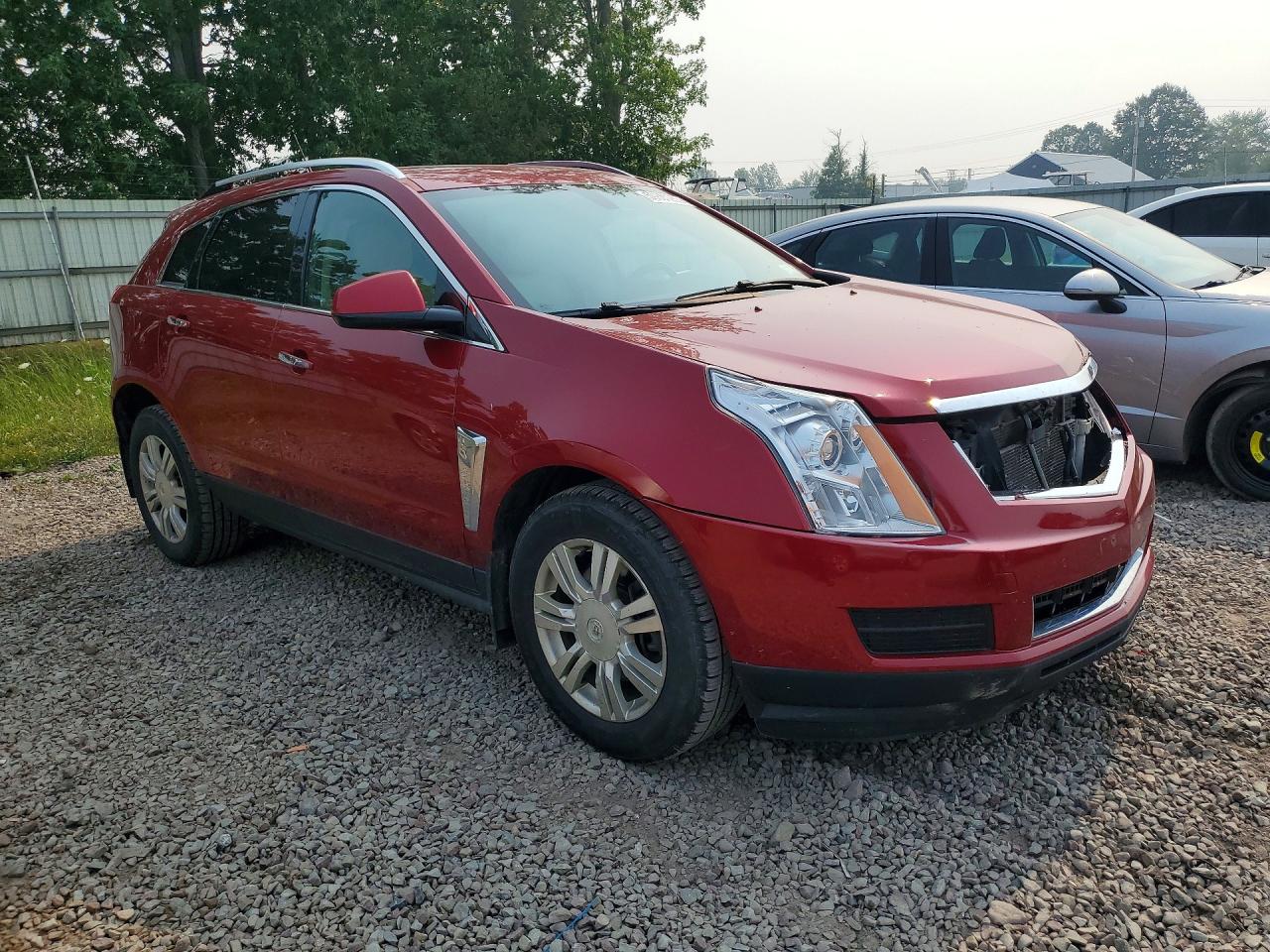 2013 Cadillac Srx Luxury Collection Красный vin: 3GYFNGE36DS581410