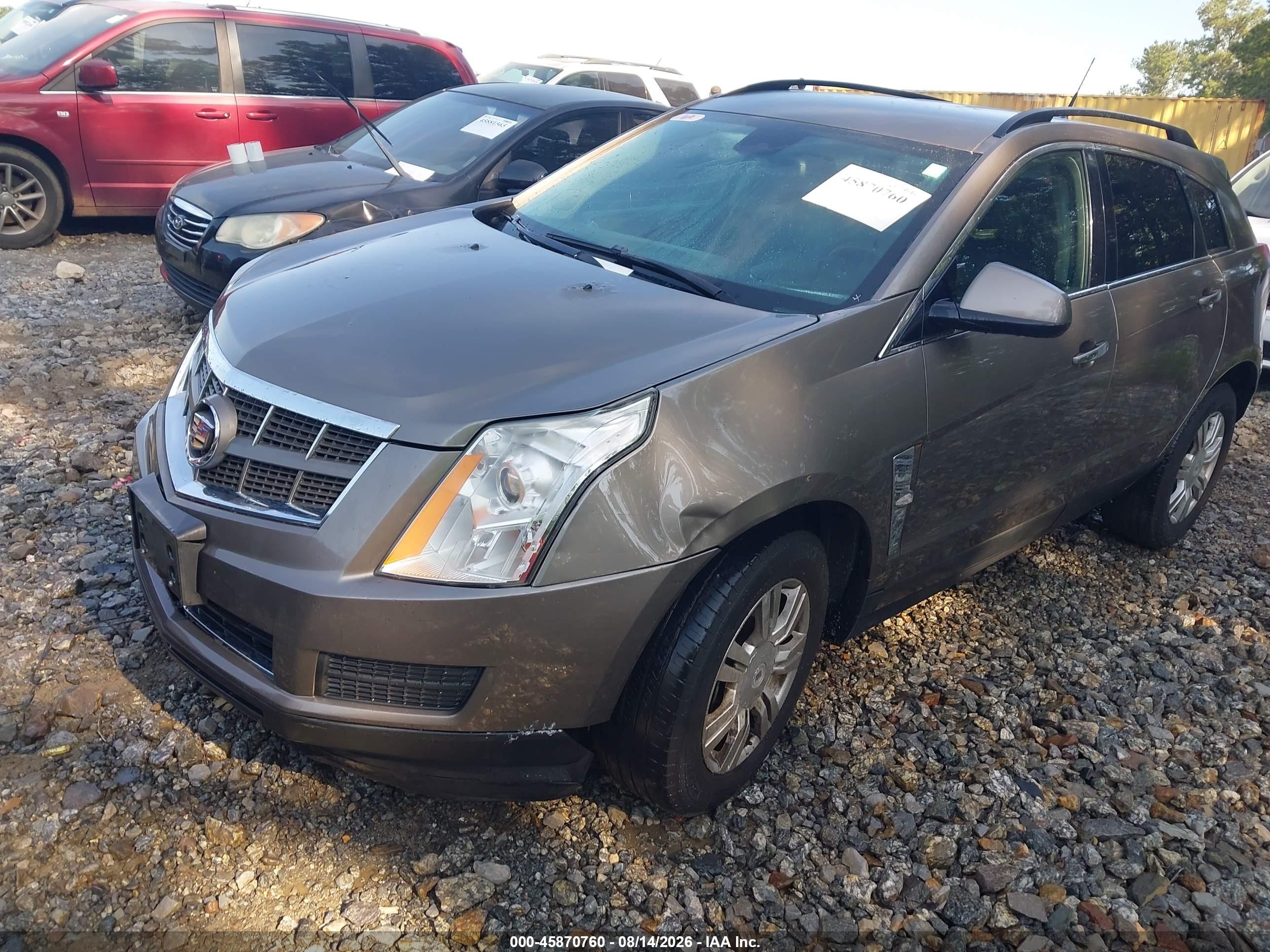 2012 Cadillac Srx Standard Бежевый vin: 3GYFNGE39CS623342