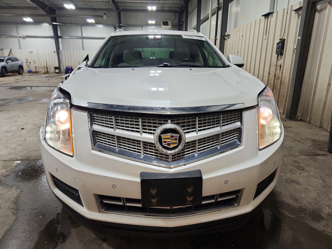 2013 Cadillac Srx Luxury Collection White vin: 3GYFNGE39DS554962