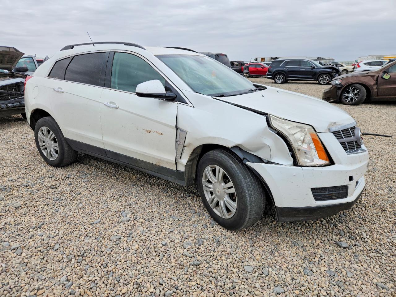2010 Cadillac Srx Silver vin: 3GYFNGEY2AS524645