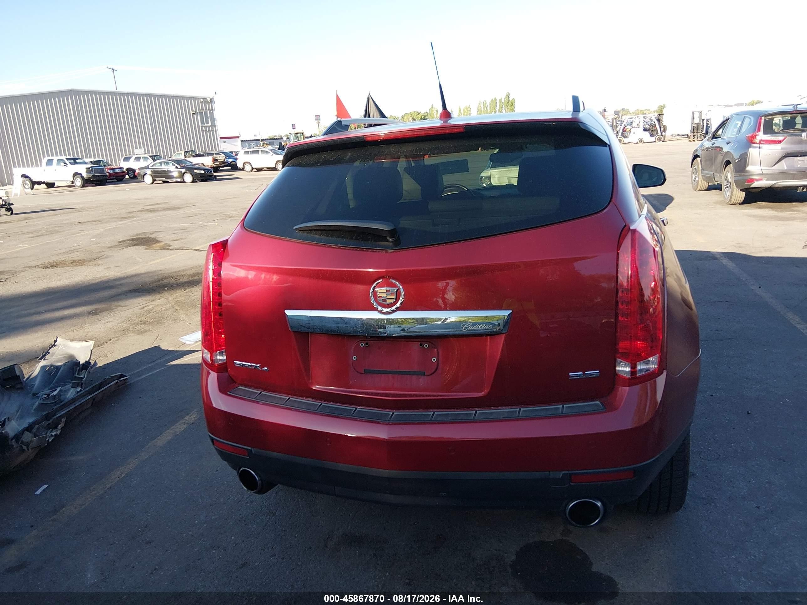2013 Cadillac Srx Premium Collection Бордовый vin: 3GYFNJE31DS653921