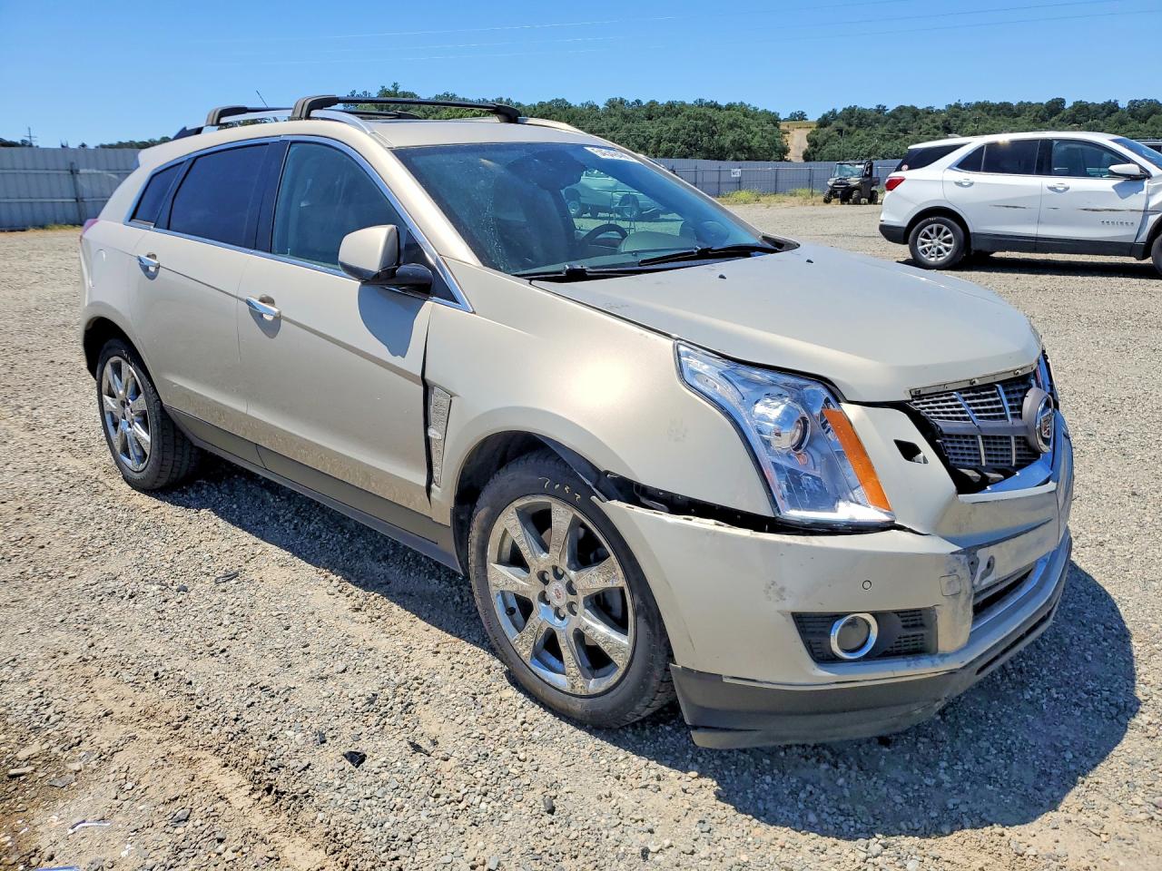 2010 Cadillac Srx Performance Collection Beige vin: 3GYFNJE43AS581317