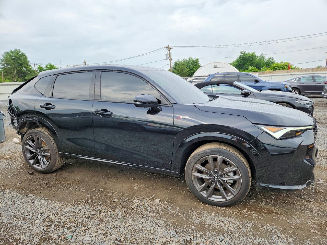 2025 Acura Adx A-spec Black vin: 3HDSA2H5XSM704660