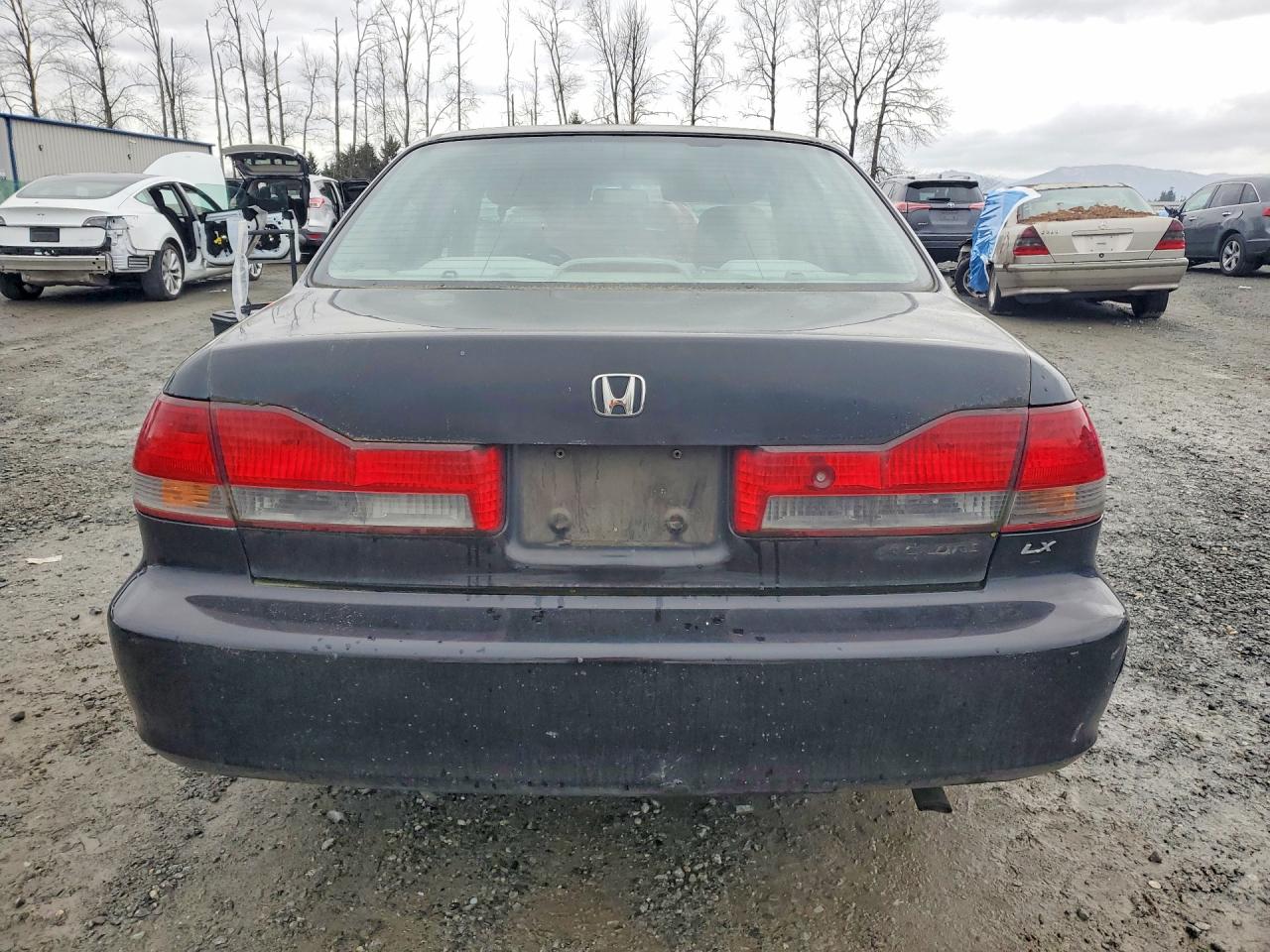 2002 Honda Accord Lx Black vin: 3HGCG564X2G703072