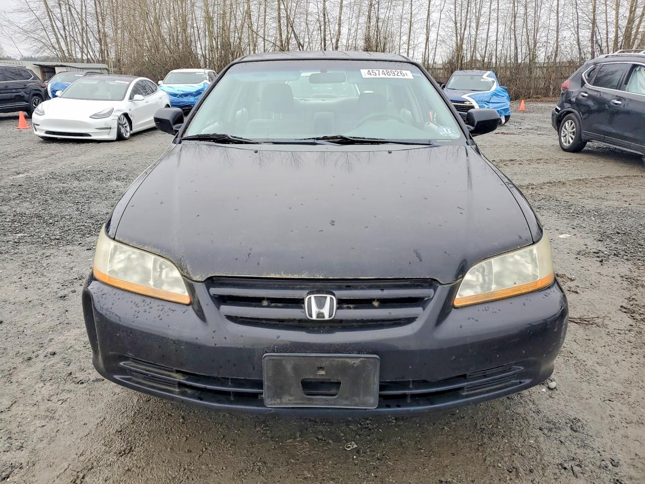 2002 Honda Accord Lx Black vin: 3HGCG564X2G703072