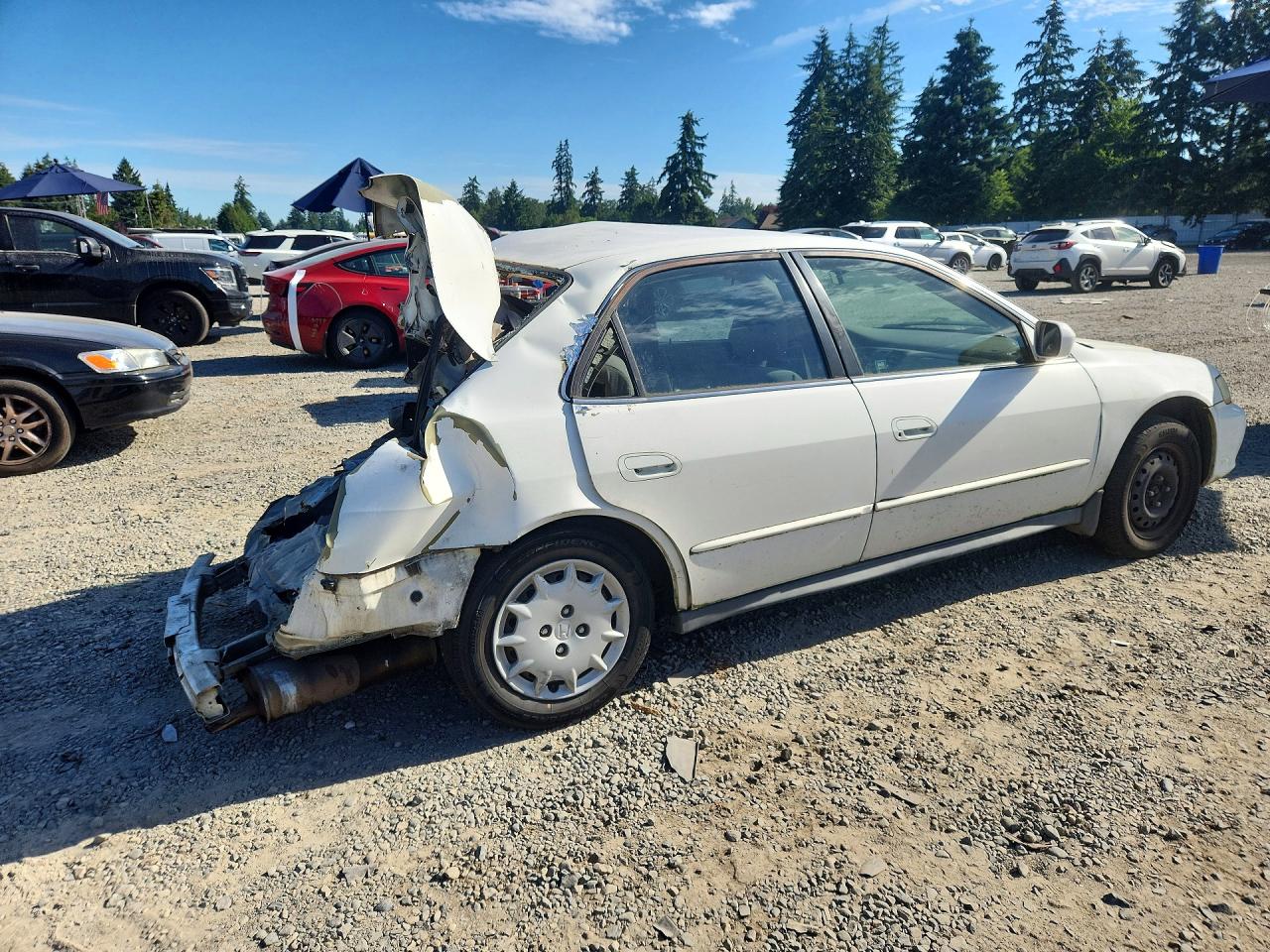 2002 Honda Accord Lx Белый vin: 3HGCG66572G706719