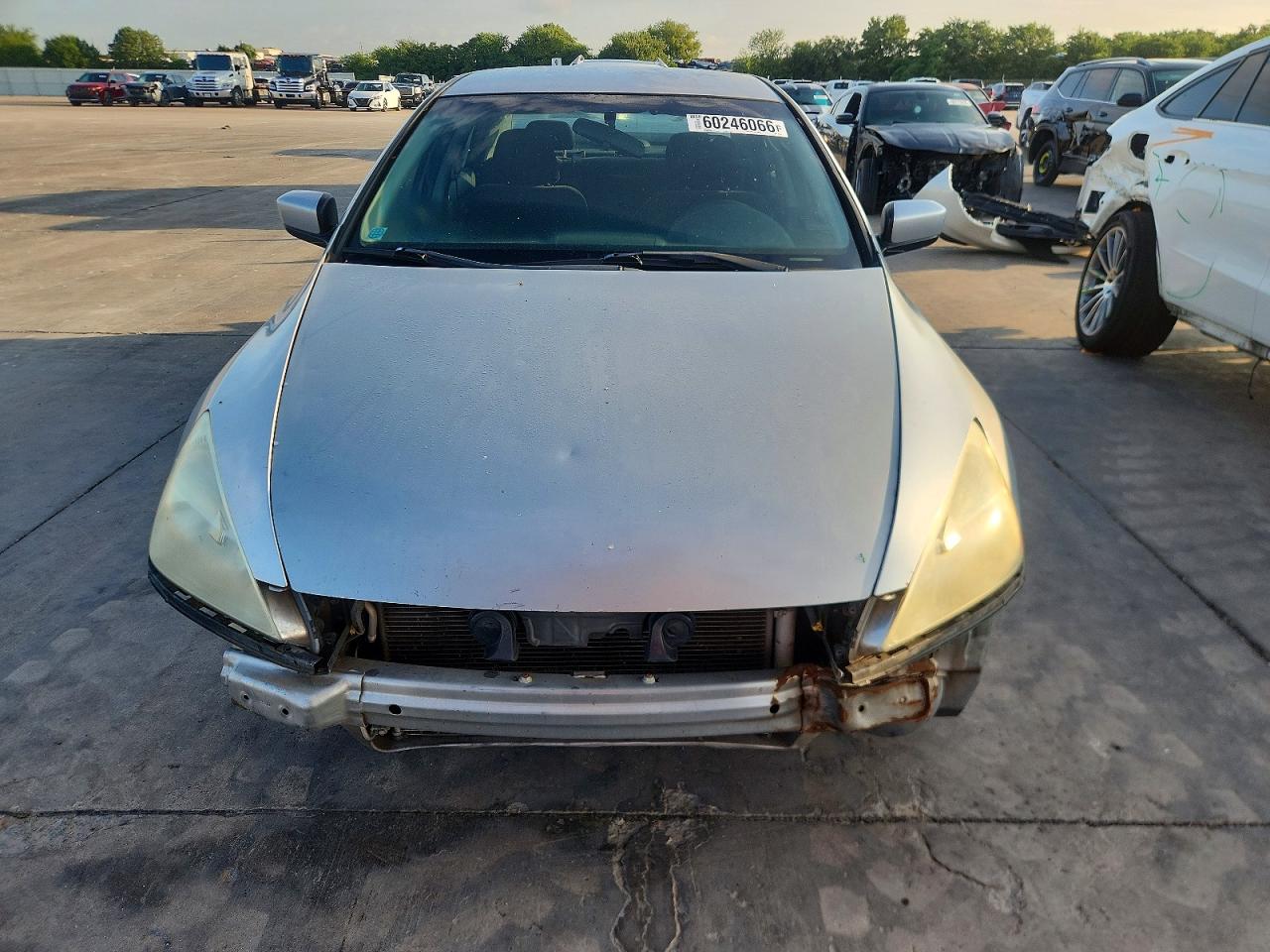 2005 Honda Accord Lx Silver vin: 3HGCM56435G706442