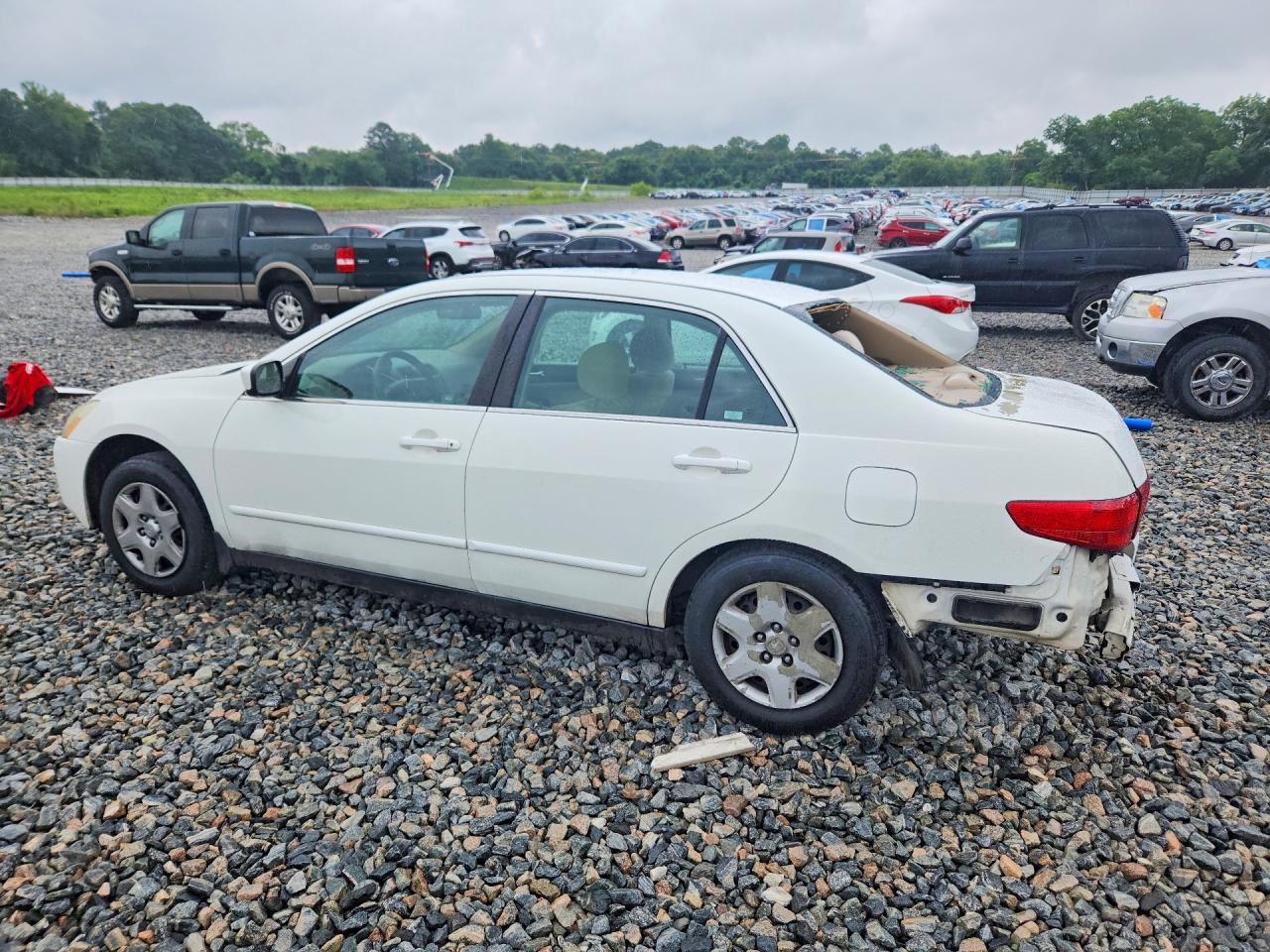 2005 Honda Accord Lx White vin: 3HGCM56435G709874
