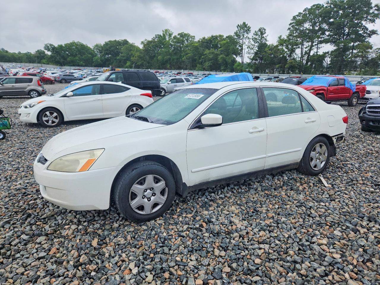 2005 Honda Accord Lx Белый vin: 3HGCM56435G709874