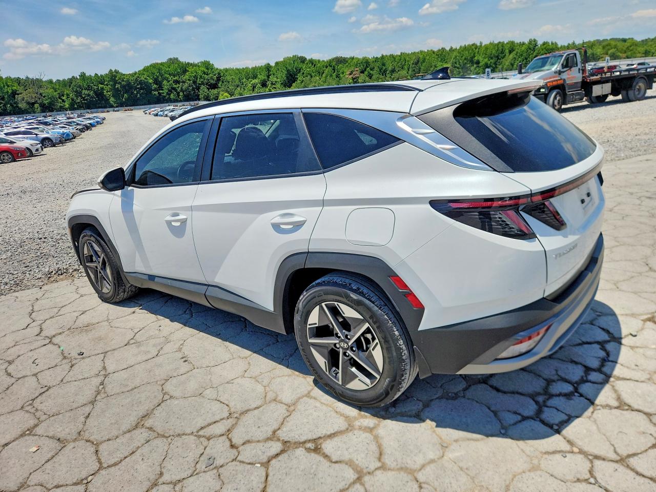 2025 Hyundai Tucson Sel White vin: 3KMJC3DE1SE019781