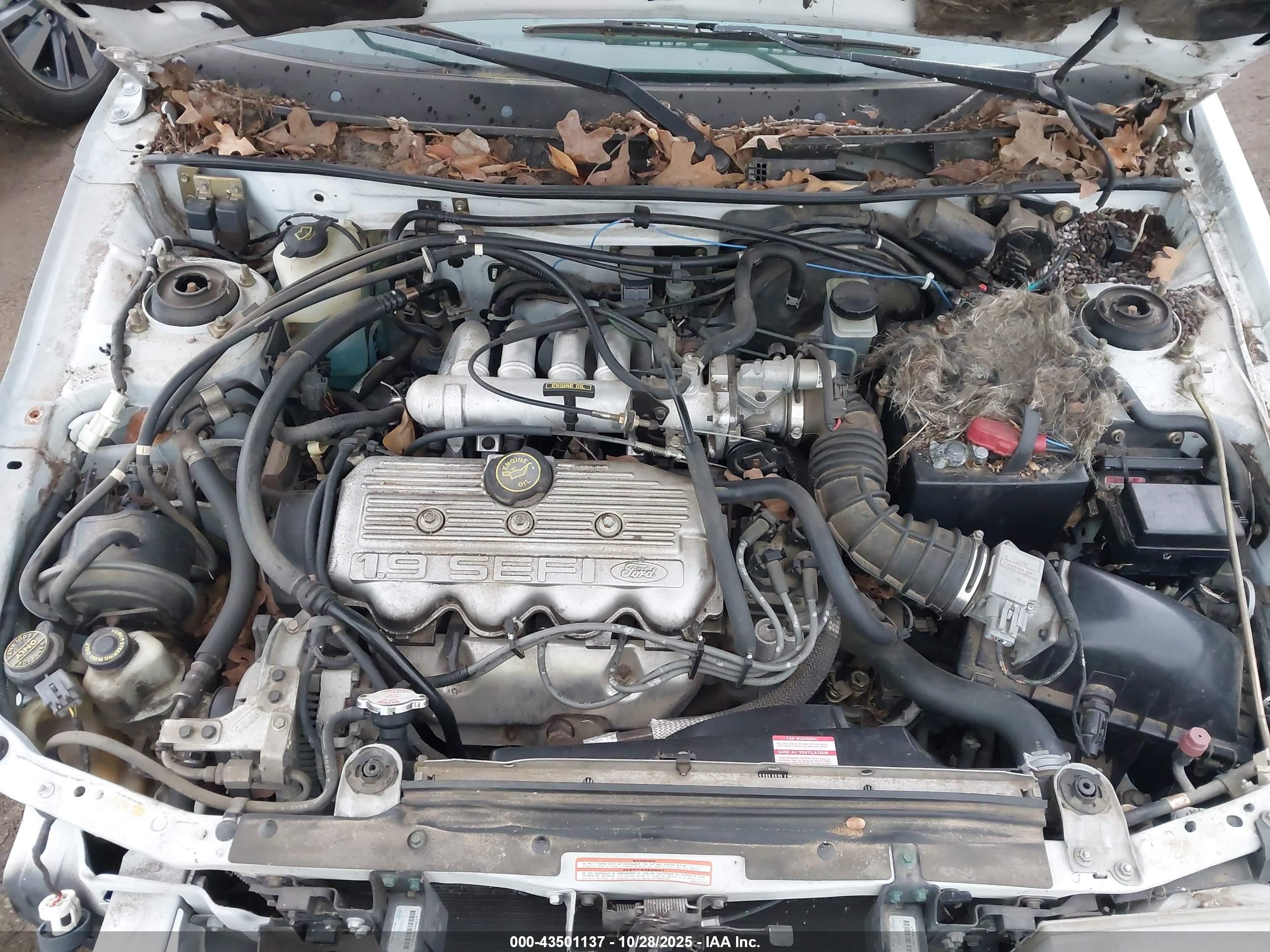 1994 Mercury Tracer Trio White vin: 3MARM15J8RR606940